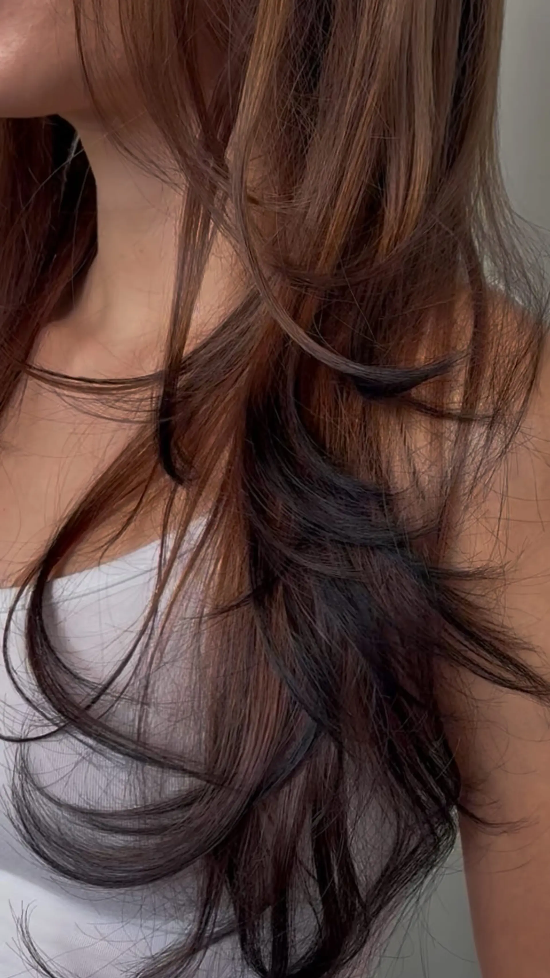 Long warm brunette hair featuring feathered, wispy layers and contrasting dark black tipped ends. 1