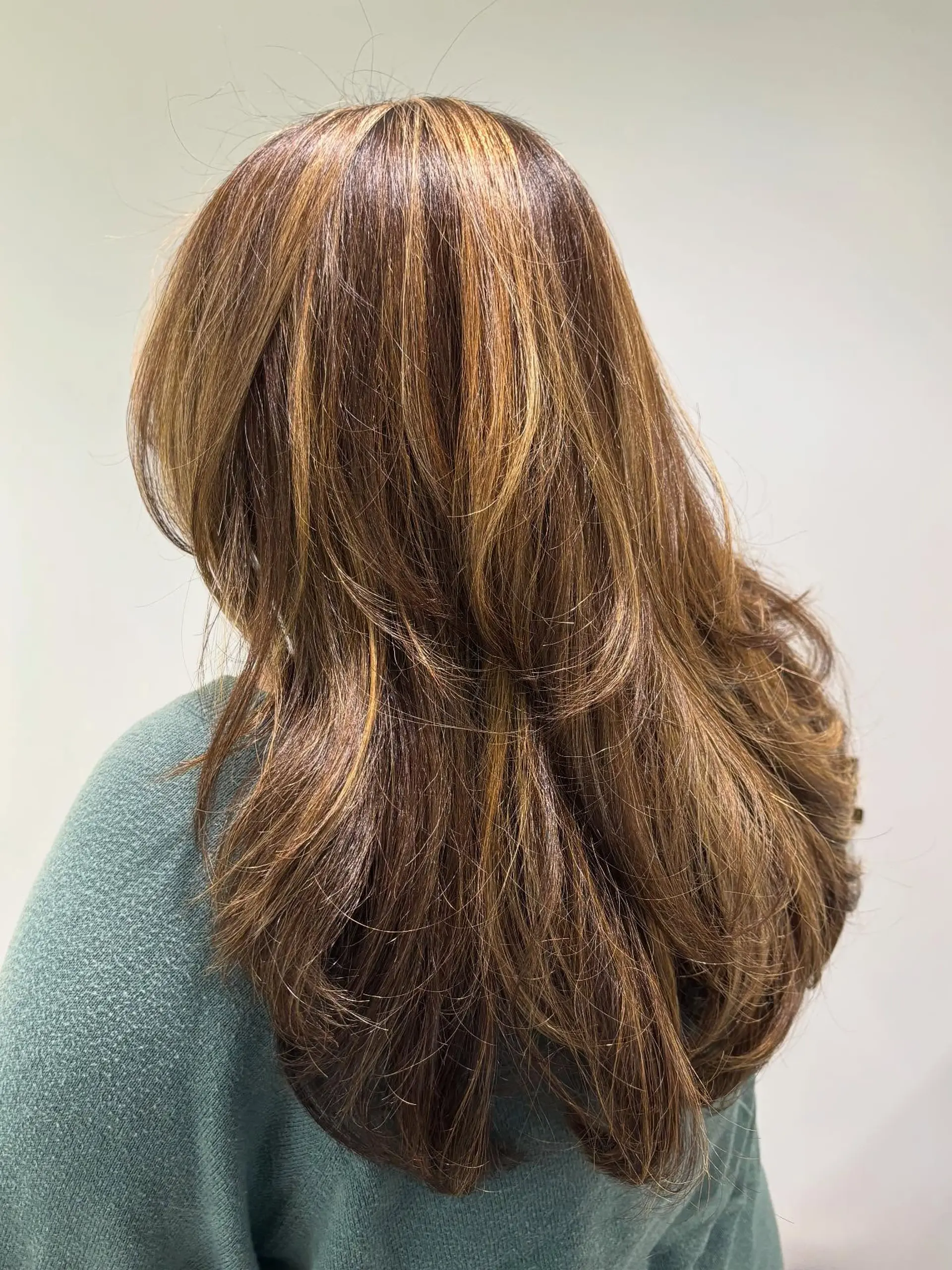 Long cascading layers with warm honey balayage highlights styled into a bouncy, voluminous blowout. 1