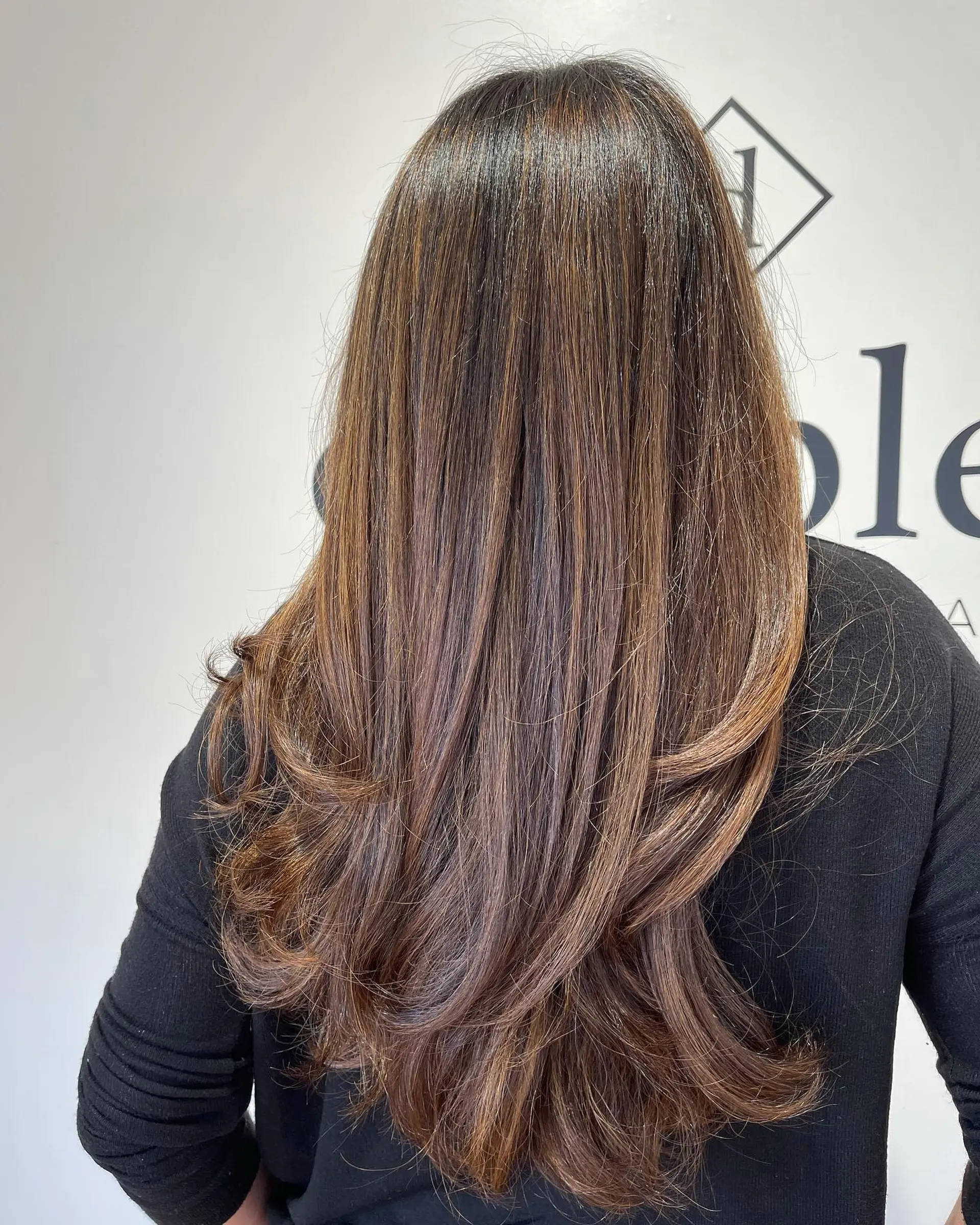 Long brown hair enhanced with seamless caramel highlights and textured, swooping layers. 1
