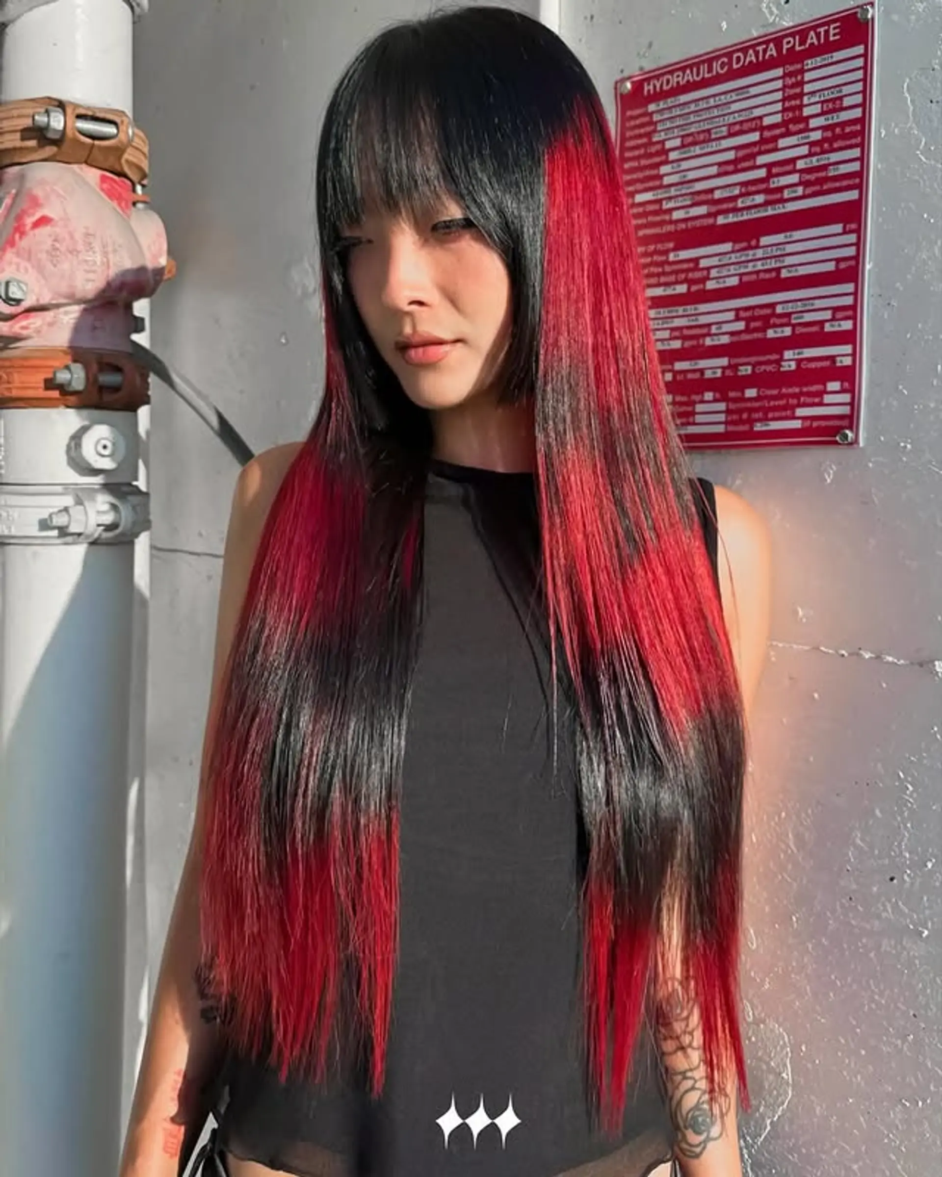 Long, straight hair with black and red two-toned streaks and blunt bangs. 1