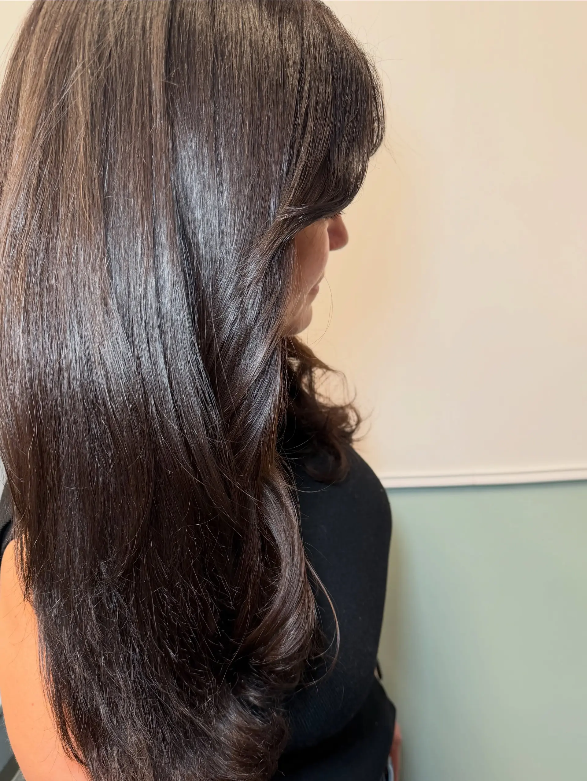 Long, ultra-glossy dark brunette hair styled smooth with gentle, polished curls at the ends. Current Gloss Toner/Finish option: $165 before tax. Gloss/toner and included finish only; haircut and lightening are not included. 1