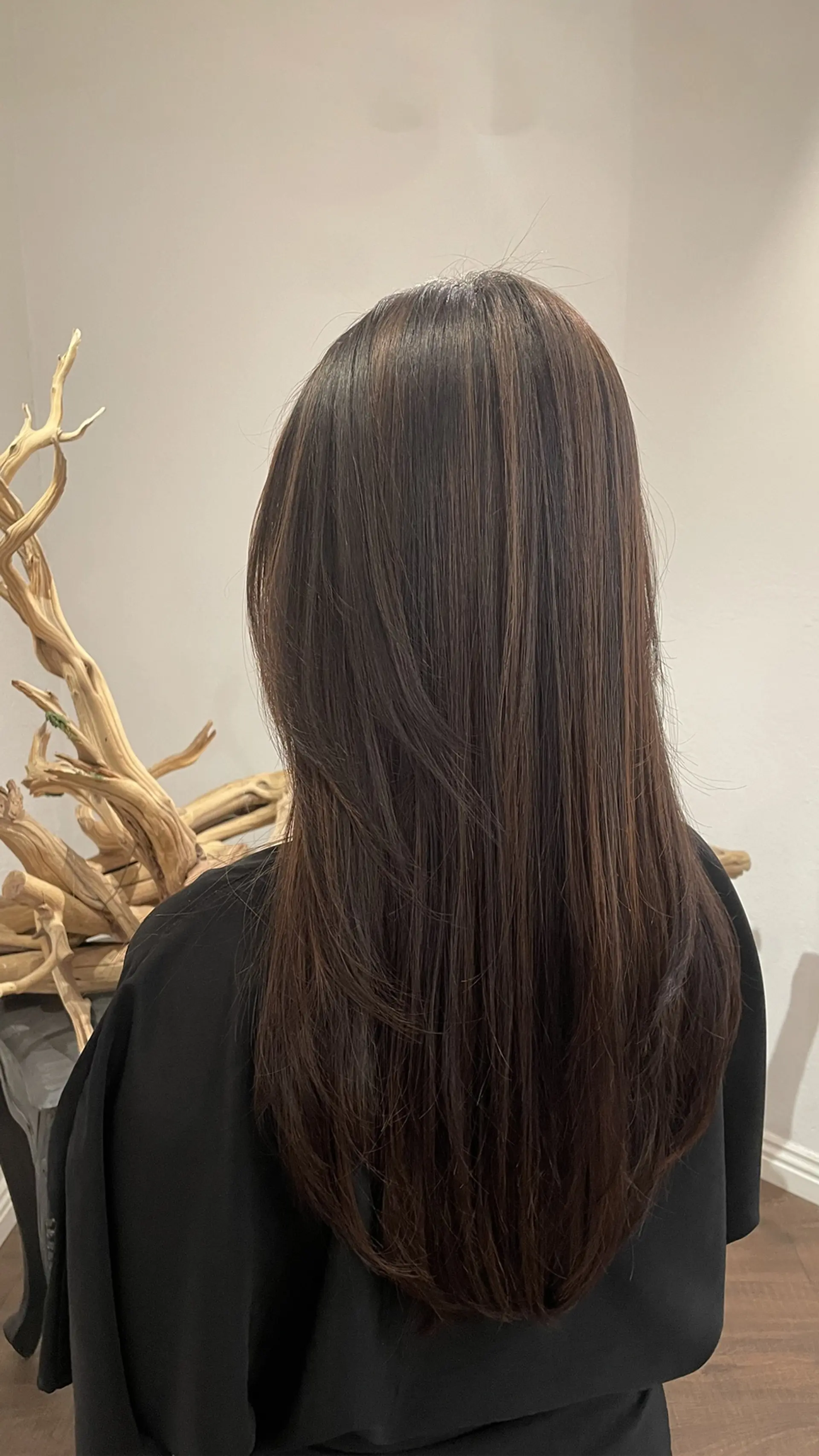 Straight, dark brown hair styled with long cascading layers and subtle warm highlights for soft dimension. 1