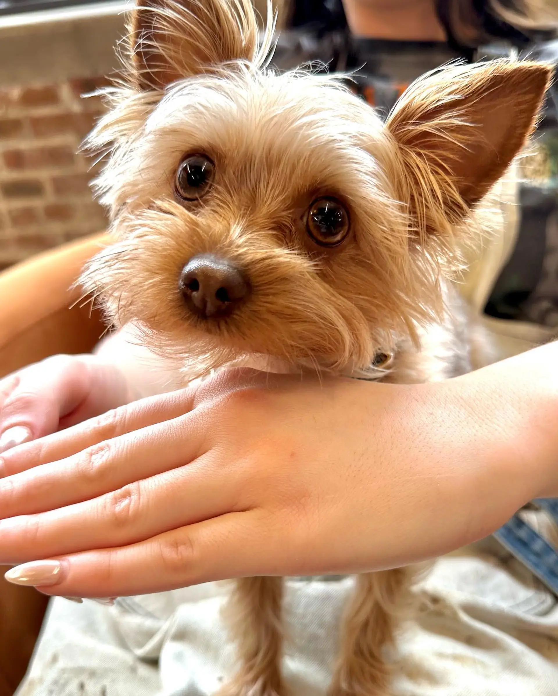 A medium-length wavy lob with soft layers. 4