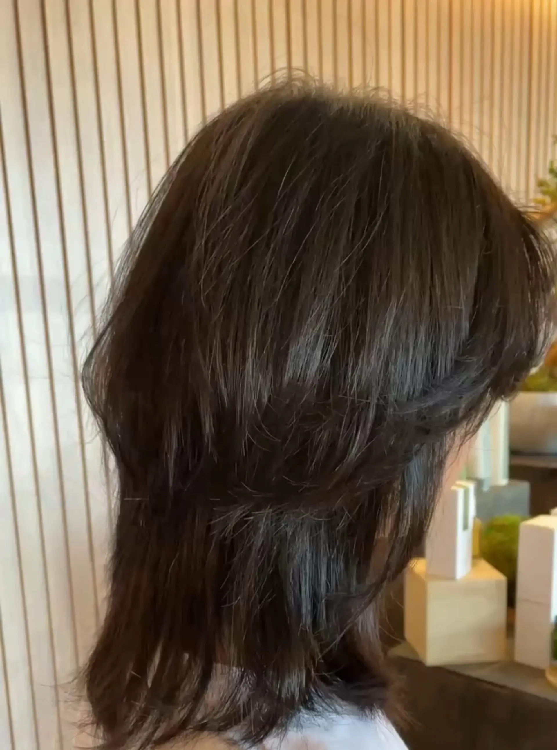 A layered jellyfish cut featuring a rounded, voluminous bob-like shape on top with longer, straight layers beneath. 1
