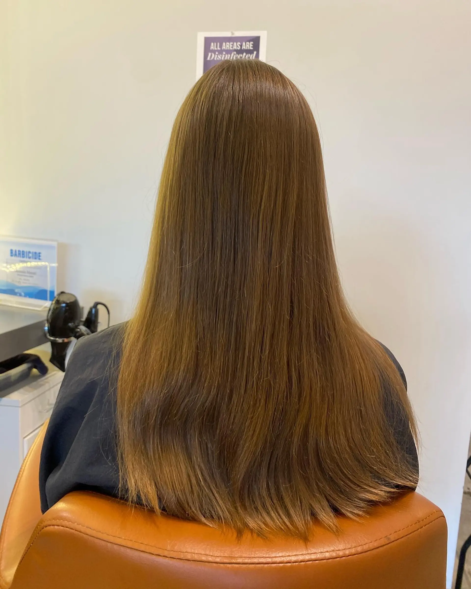 Long, sleek straight hair featuring subtle honey balayage blending seamlessly into natural warm brown tones. 1