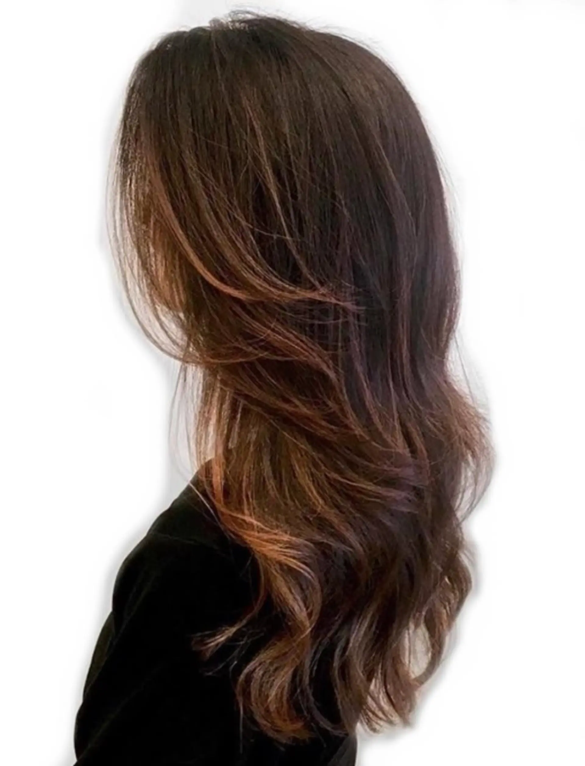 Long, layered brunette hair with balayage highlights. 1