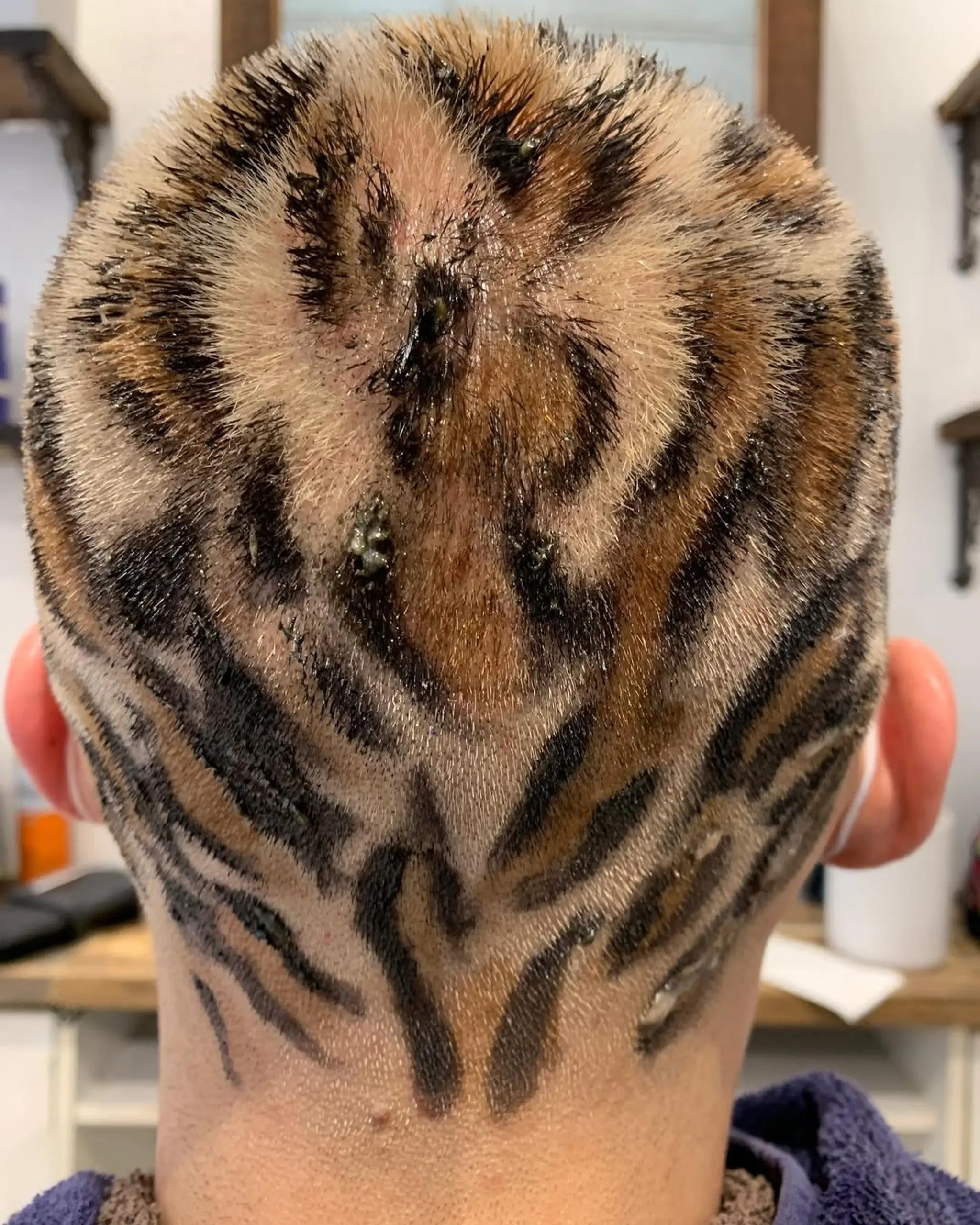 An artistic, very short hairstyle with straight textures, featuring a striking tiger stripe pattern in black and brown tones.