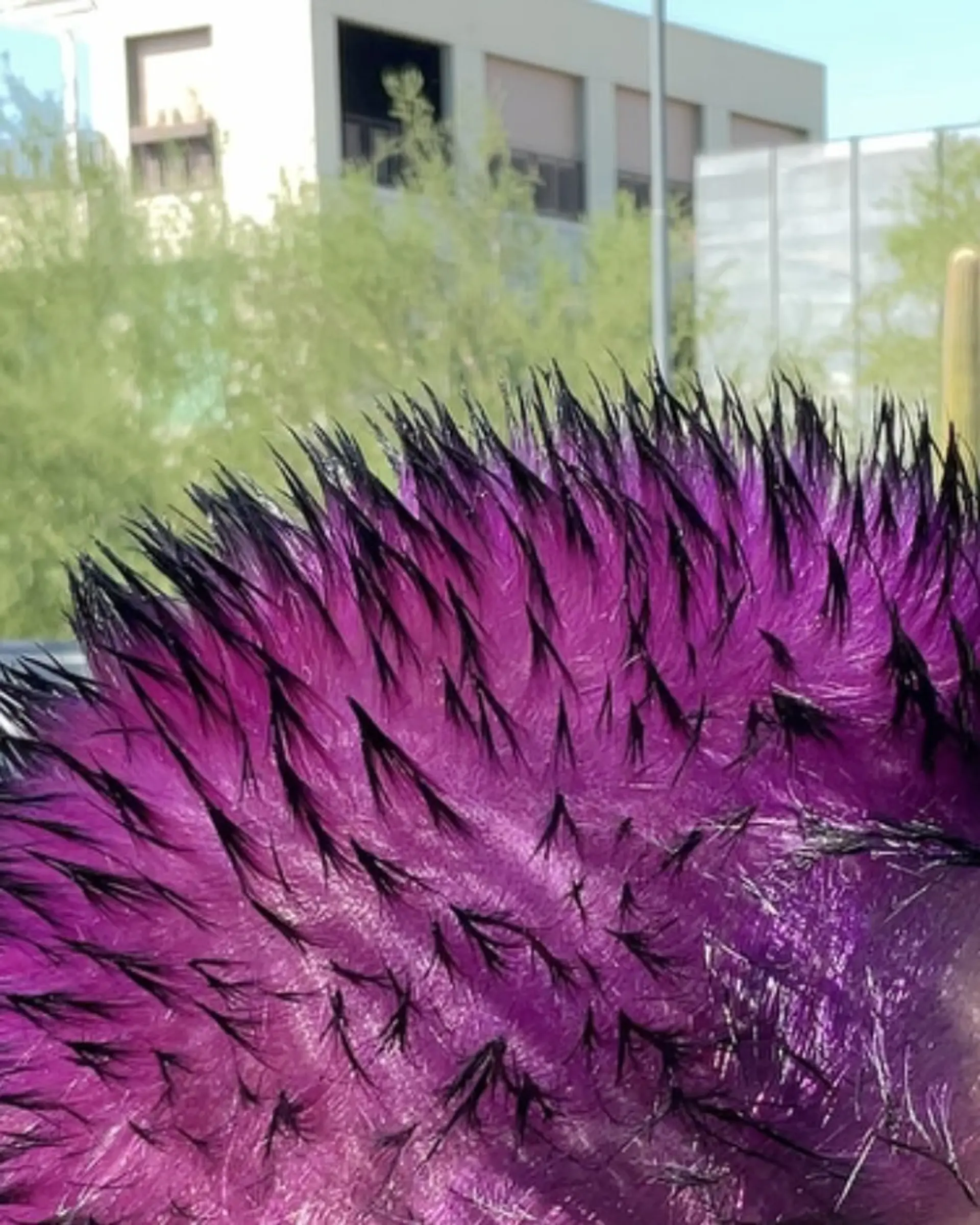 A textured short spiky cut colored in intense velvet purple with contrasting black tips. 1