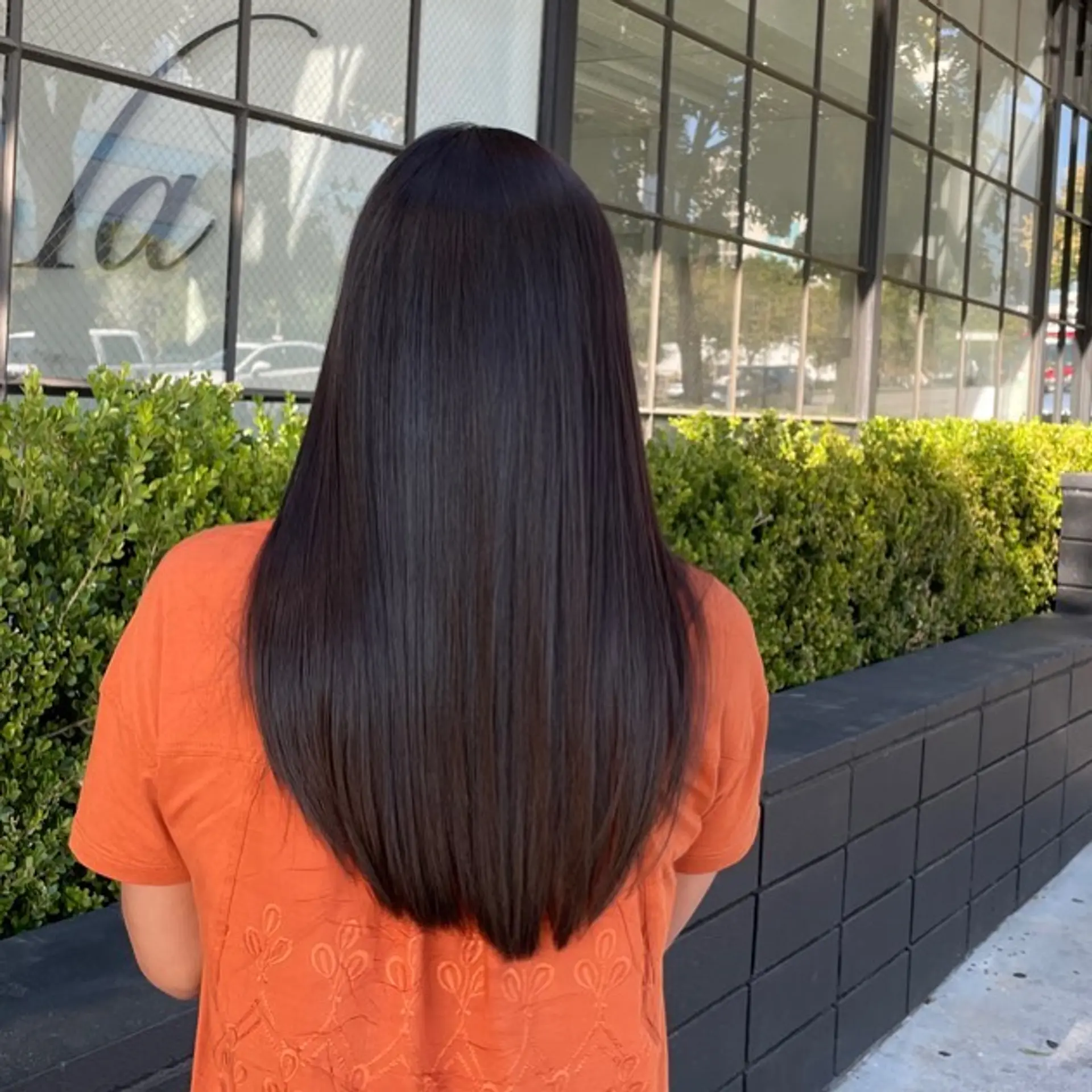 Ultra-smooth, glossy pin-straight dark hair falling down the back with a softly curved hemline. 1