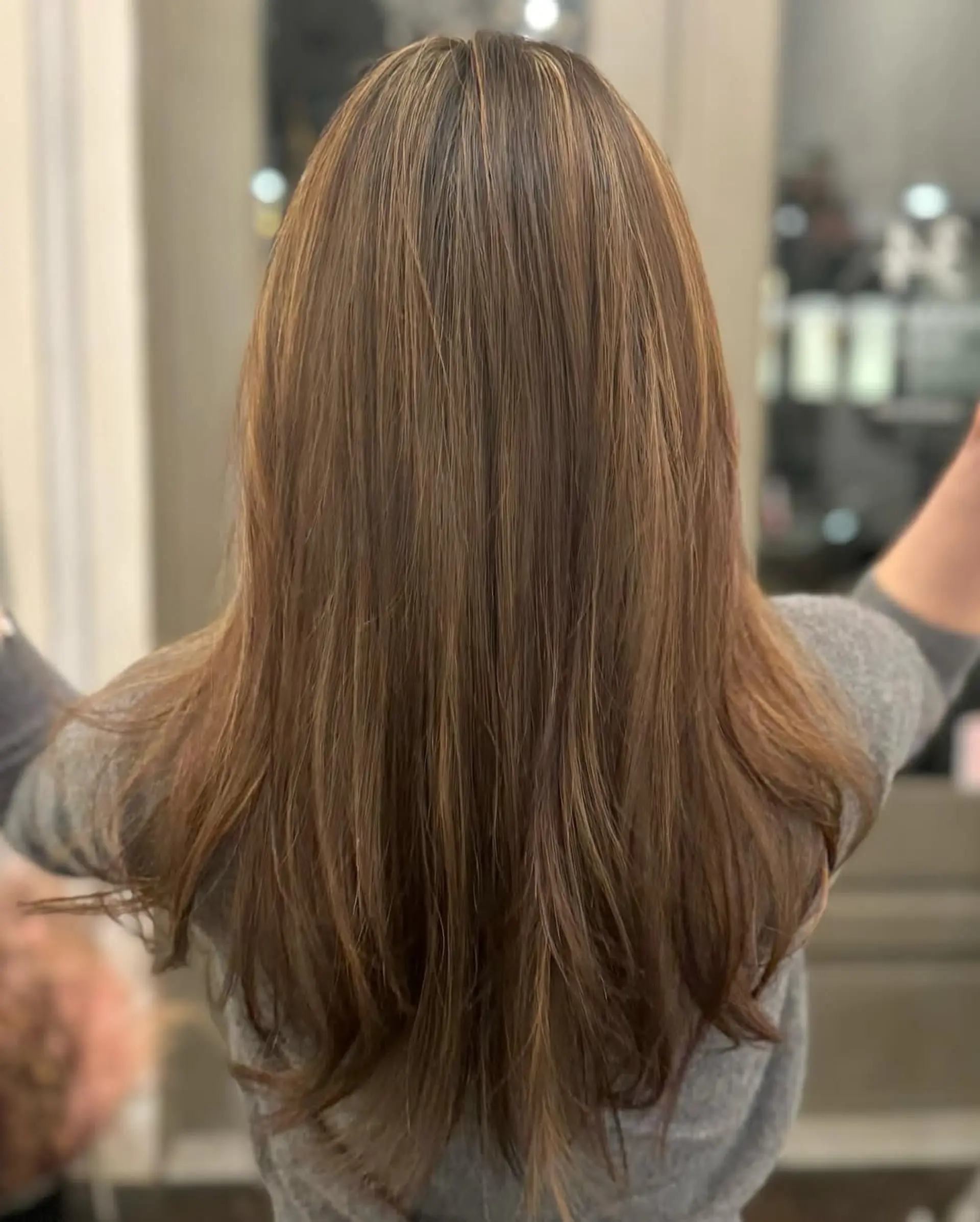 Long, straight, and sleek hair with rich brown and auburn highlights, featuring subtle layers for natural movement. 1