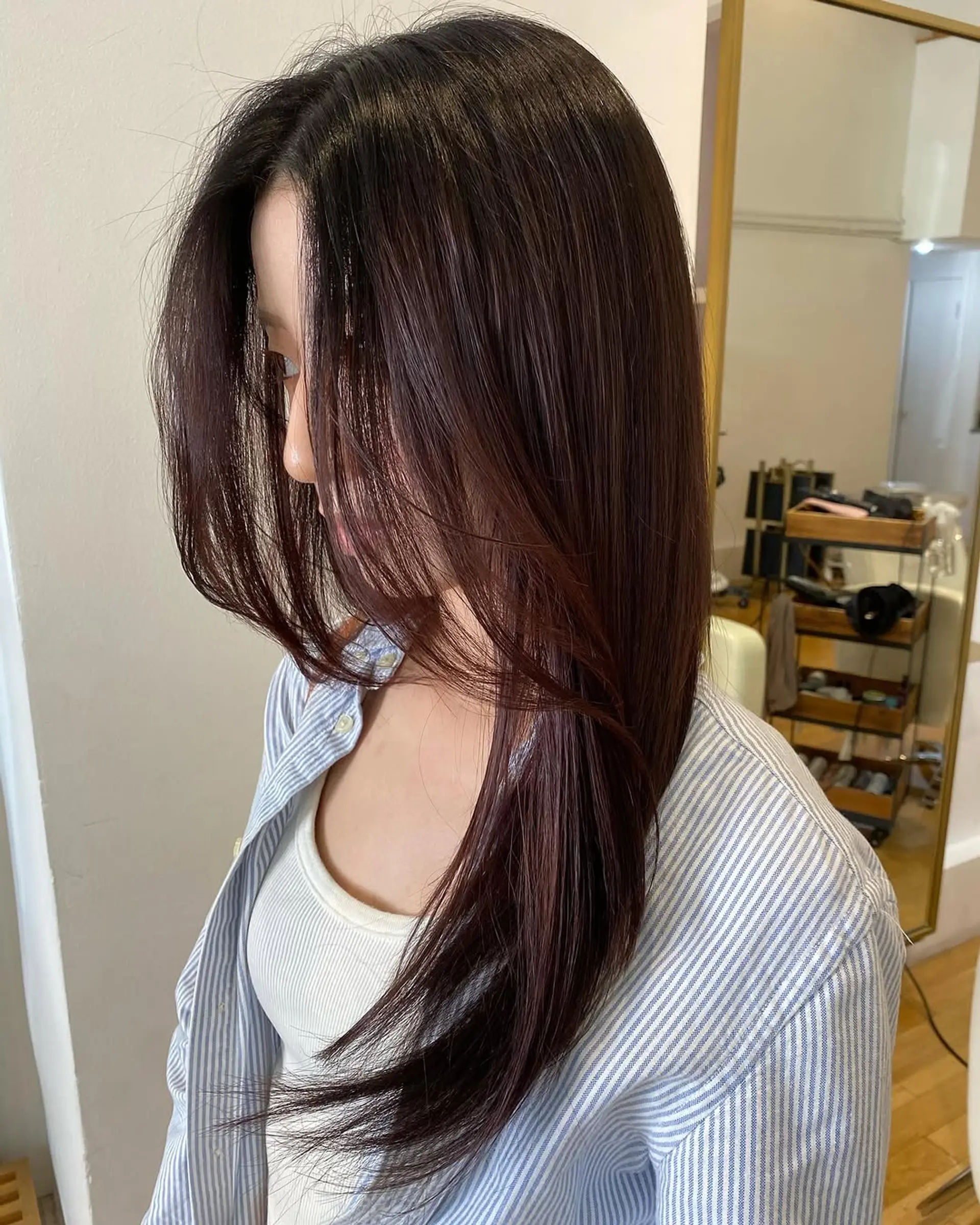 Long, straight hair with face-framing layers and a rich chocolate plum color. 1