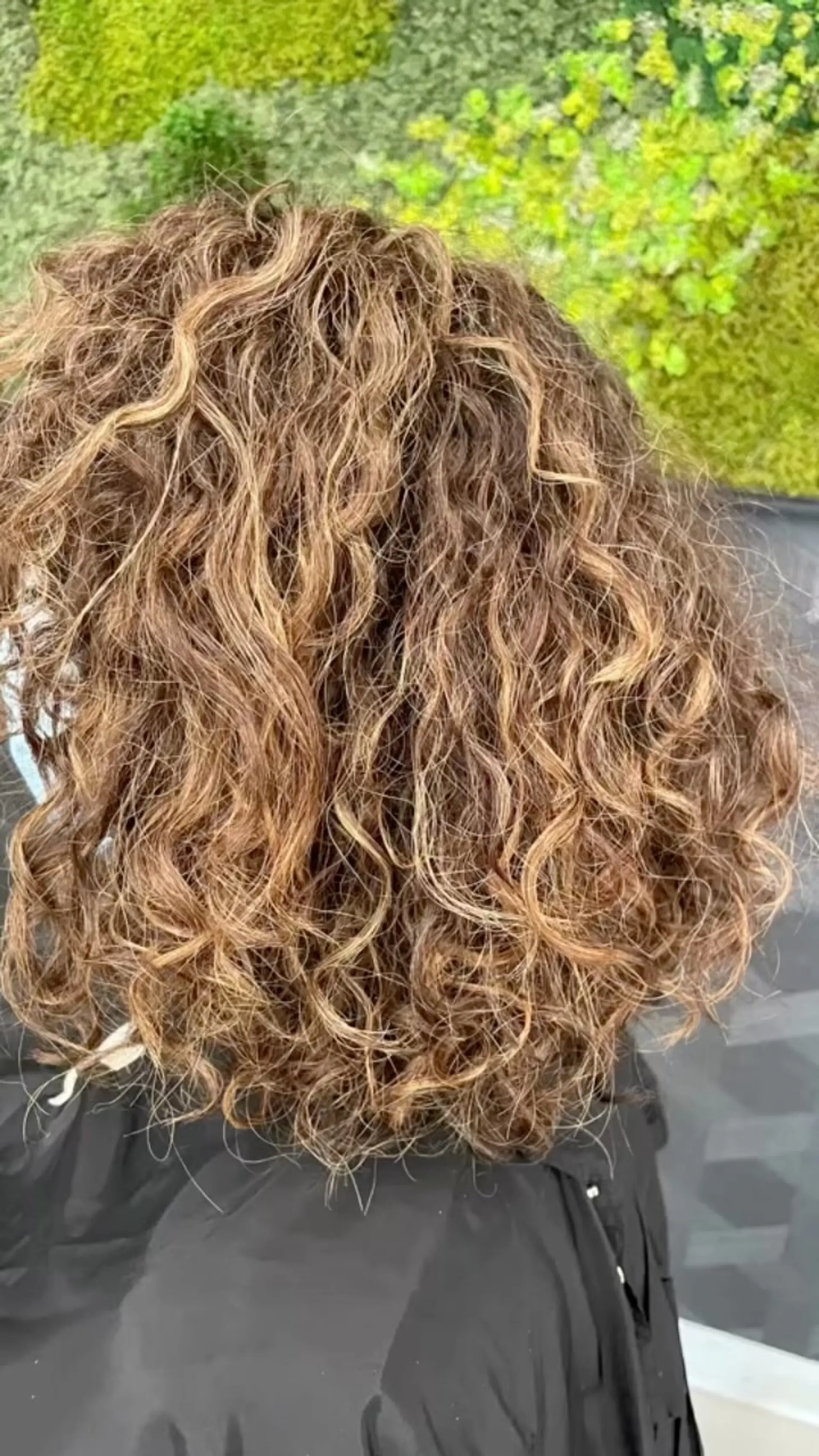 Shoulder-length textured curly haircut featuring voluminous natural curls enhanced with warm dimensional highlights. 1