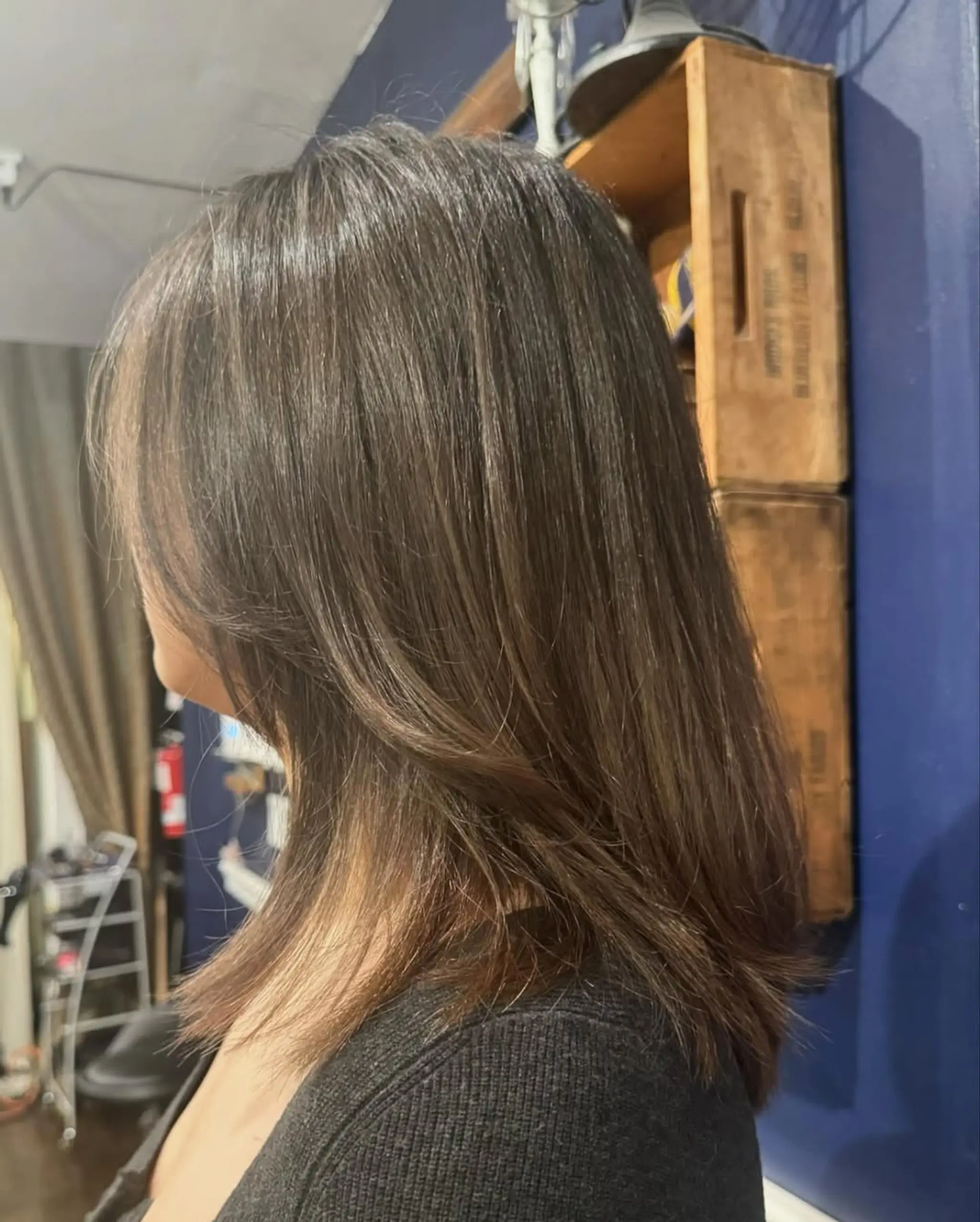 A medium-length, straight, layered hairstyle in dark brown with ash brown tones. Features a smooth finish and feathered ends for added movement and elegance. 2