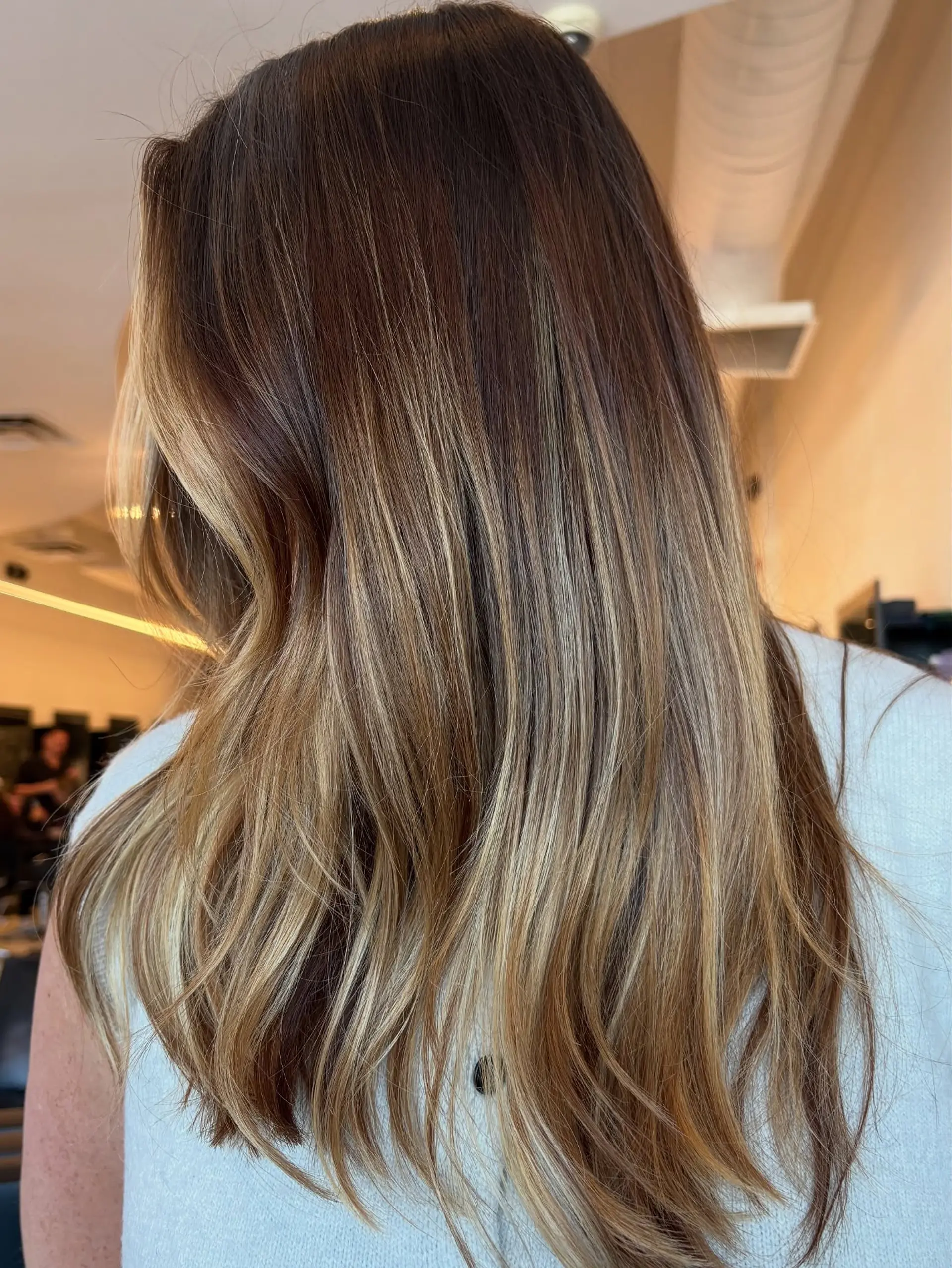 Long brunette hair blended with warm, dimensional honey blonde balayage highlights and soft face-framing pieces. 1