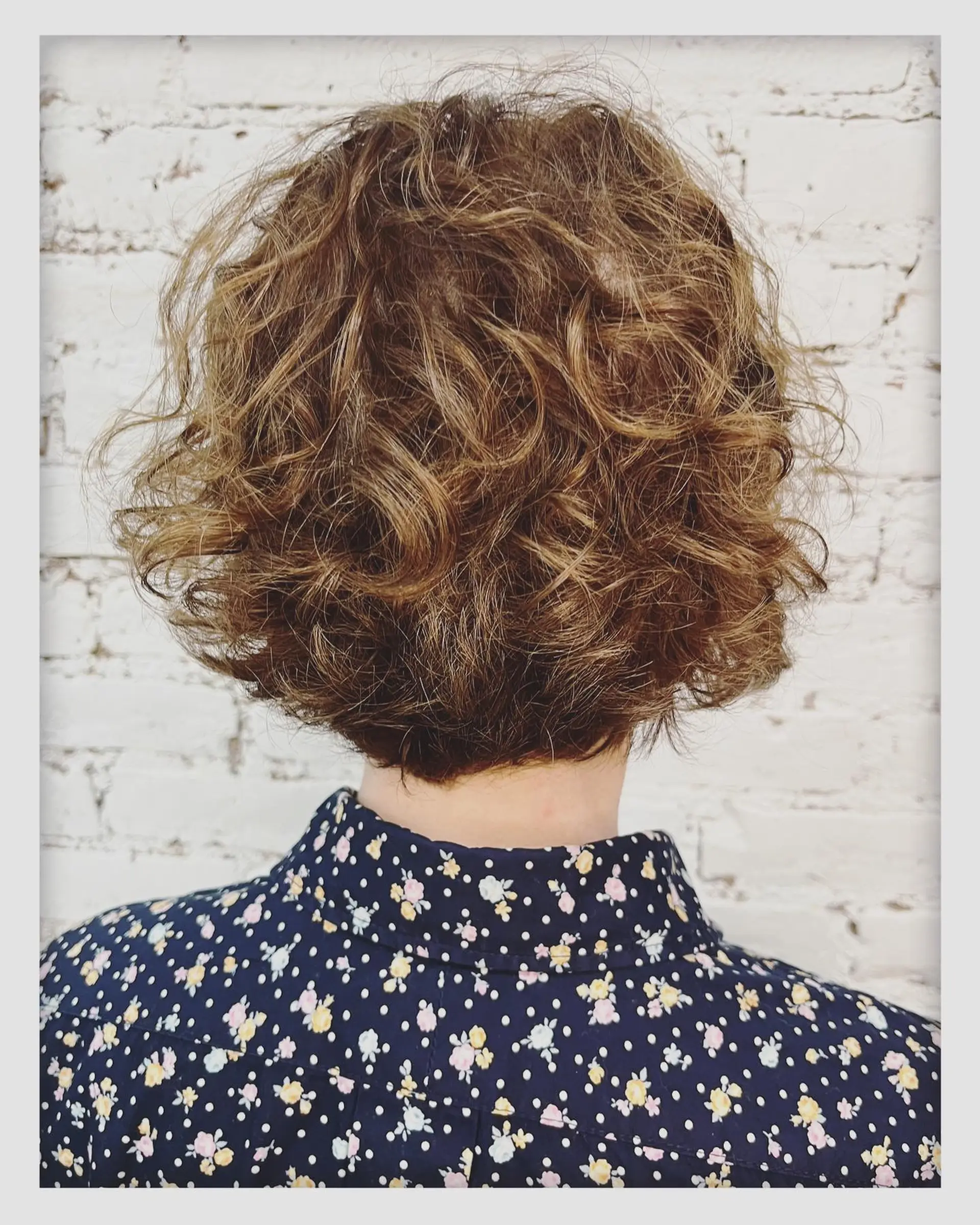 A textured short curly cut with rounded shaping, natural volume, and soft dimensional highlights. 1