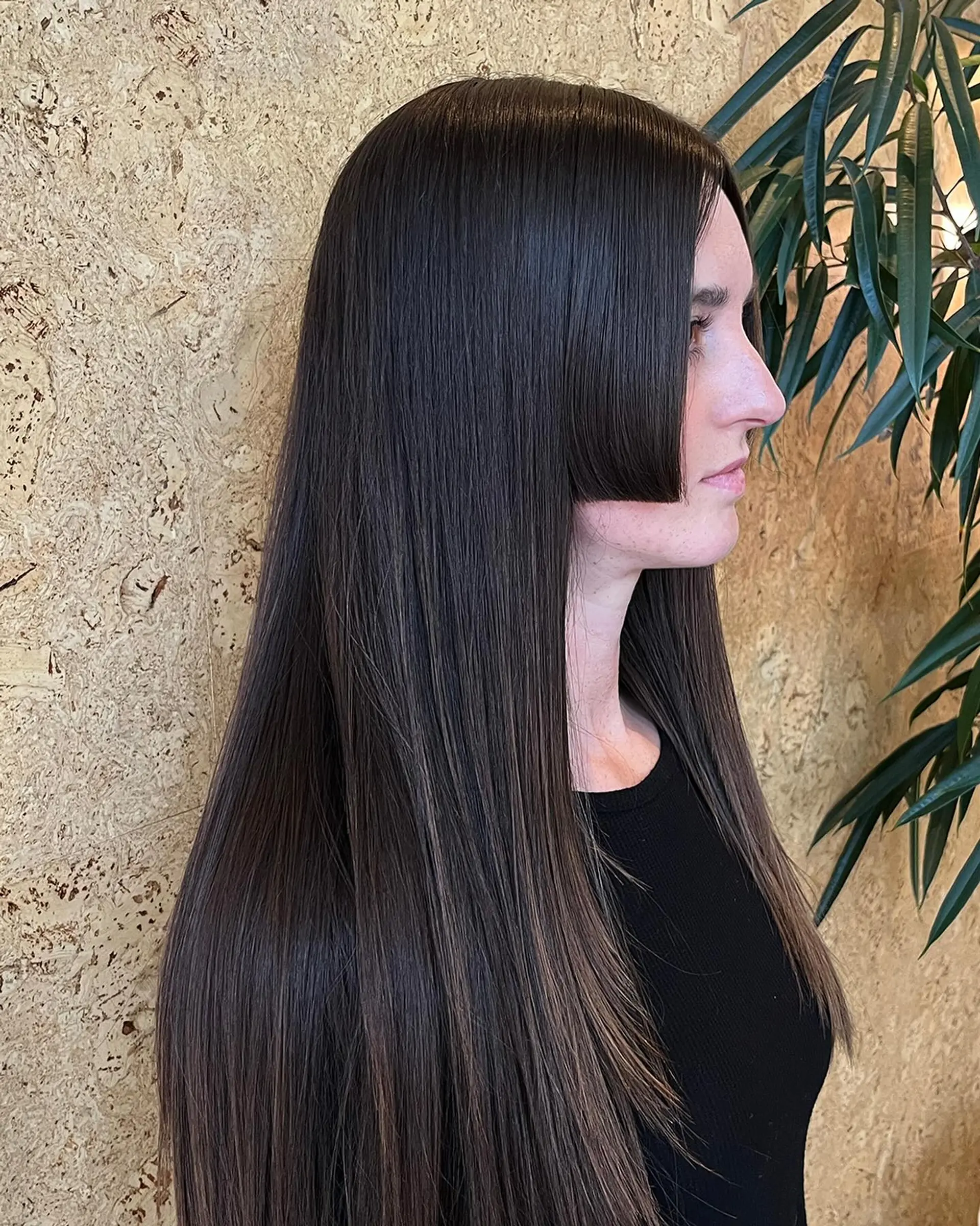 Sleek long straight dark brown hair styled in a classic Hime cut with sharp, blunt cheek-length side bangs. 1