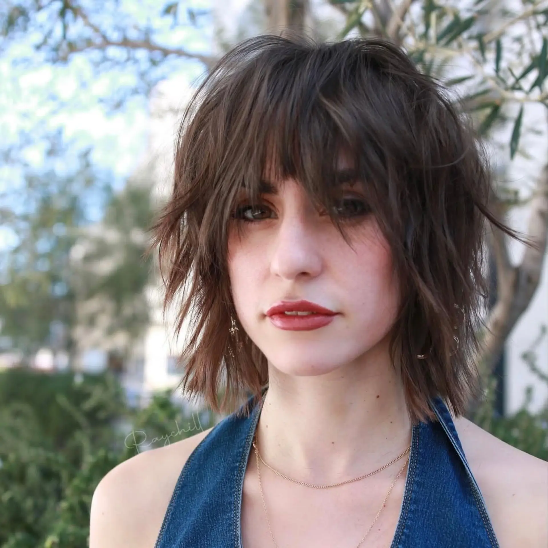 A choppy brunette shag bob featuring soft, eye-grazing fringe and heavily textured layers. 1