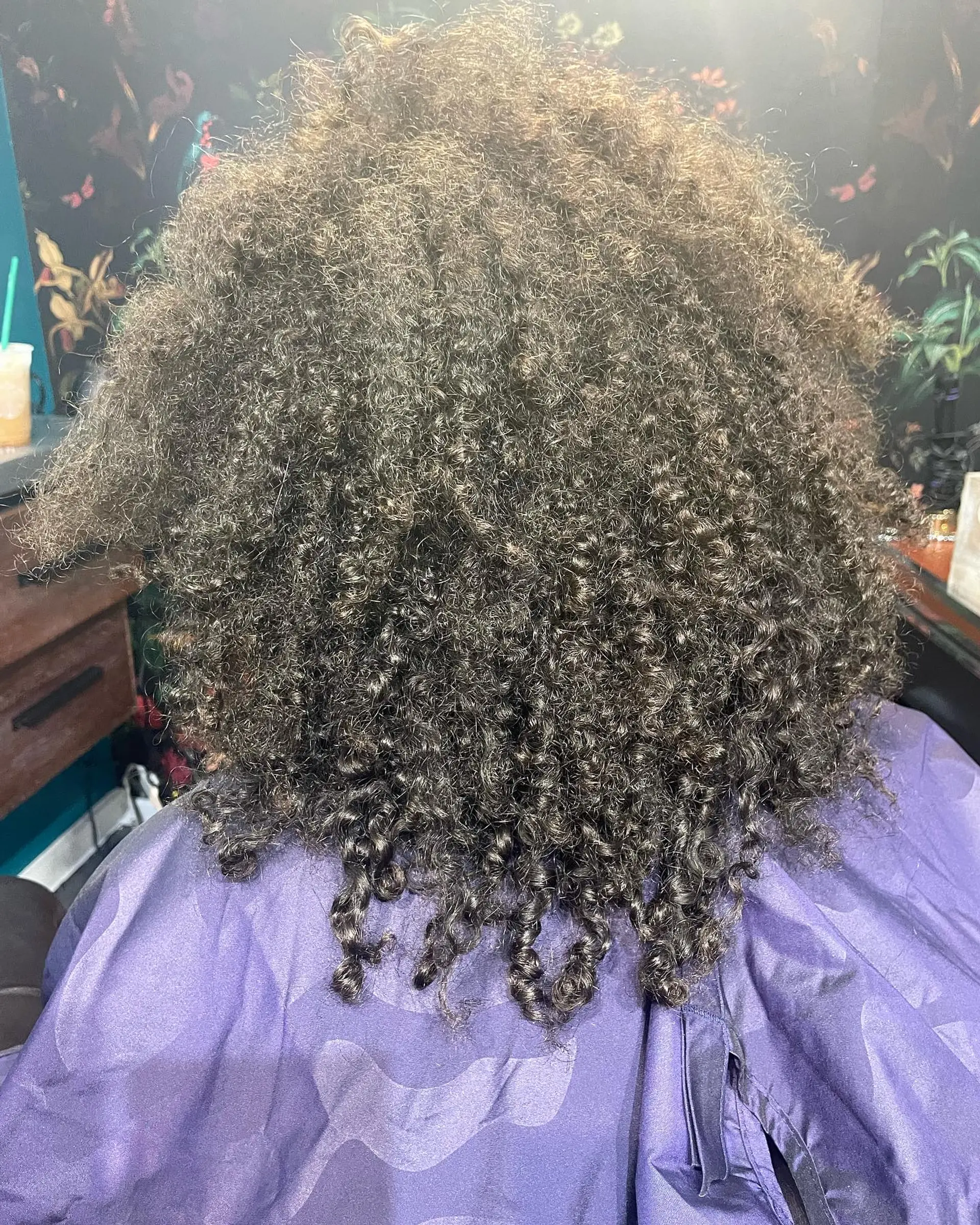 Voluminous, shoulder-length natural curls with defined coiled ends and subtle golden highlights. 1
