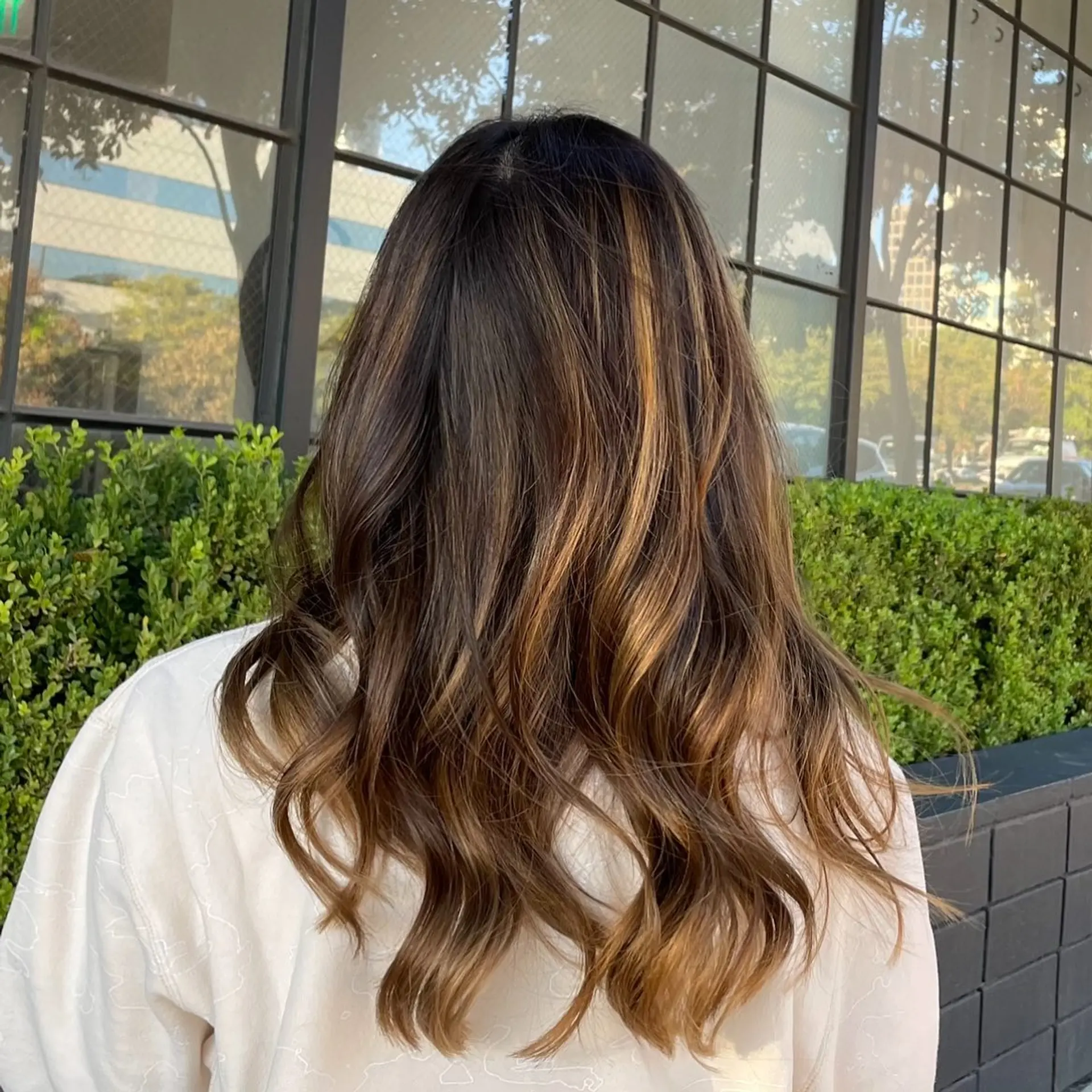 Long dark brown hair styled with warm caramel balayage highlights and soft, loose waves. 1