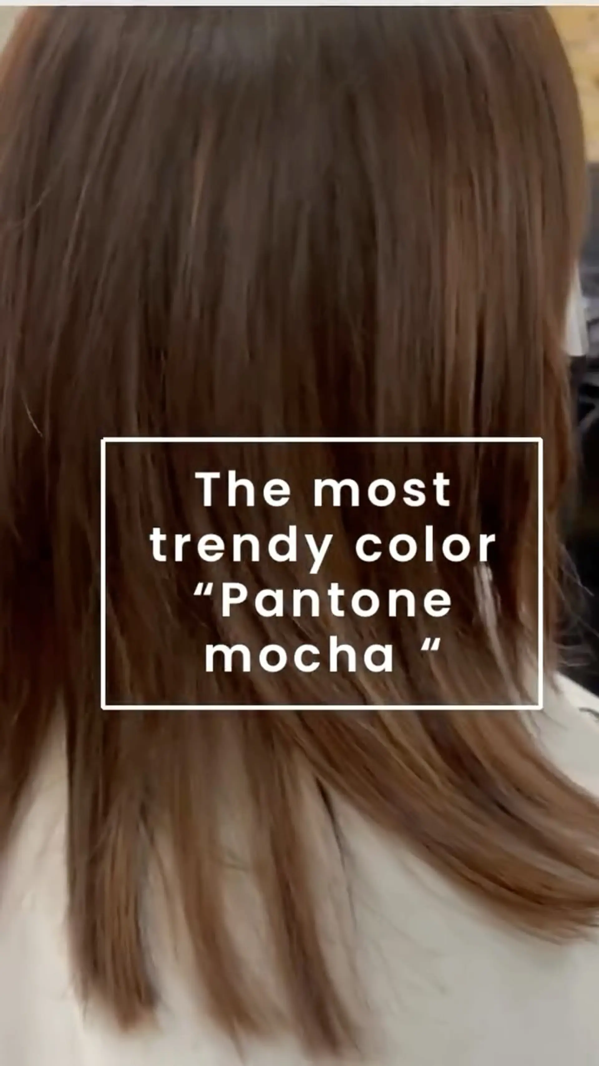 Straight medium-length hair finished in a dimensional cool mocha brown shade. 1