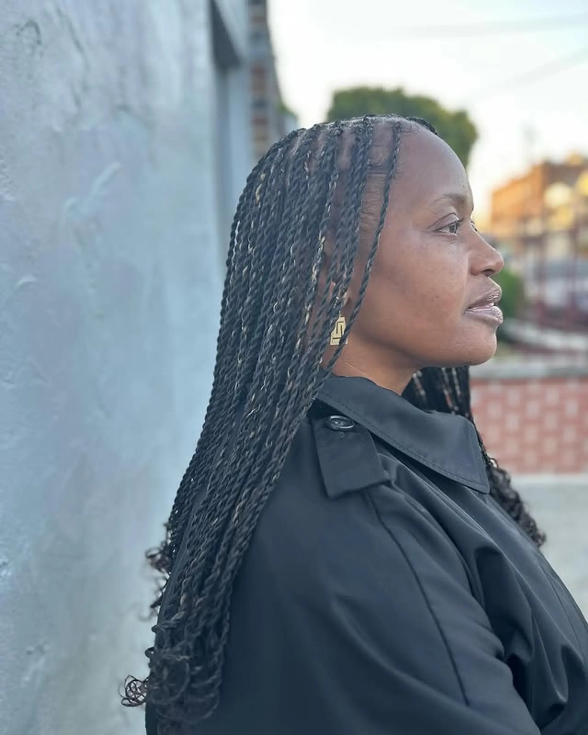 Long passion twists with a mix of dark and light strands. 1