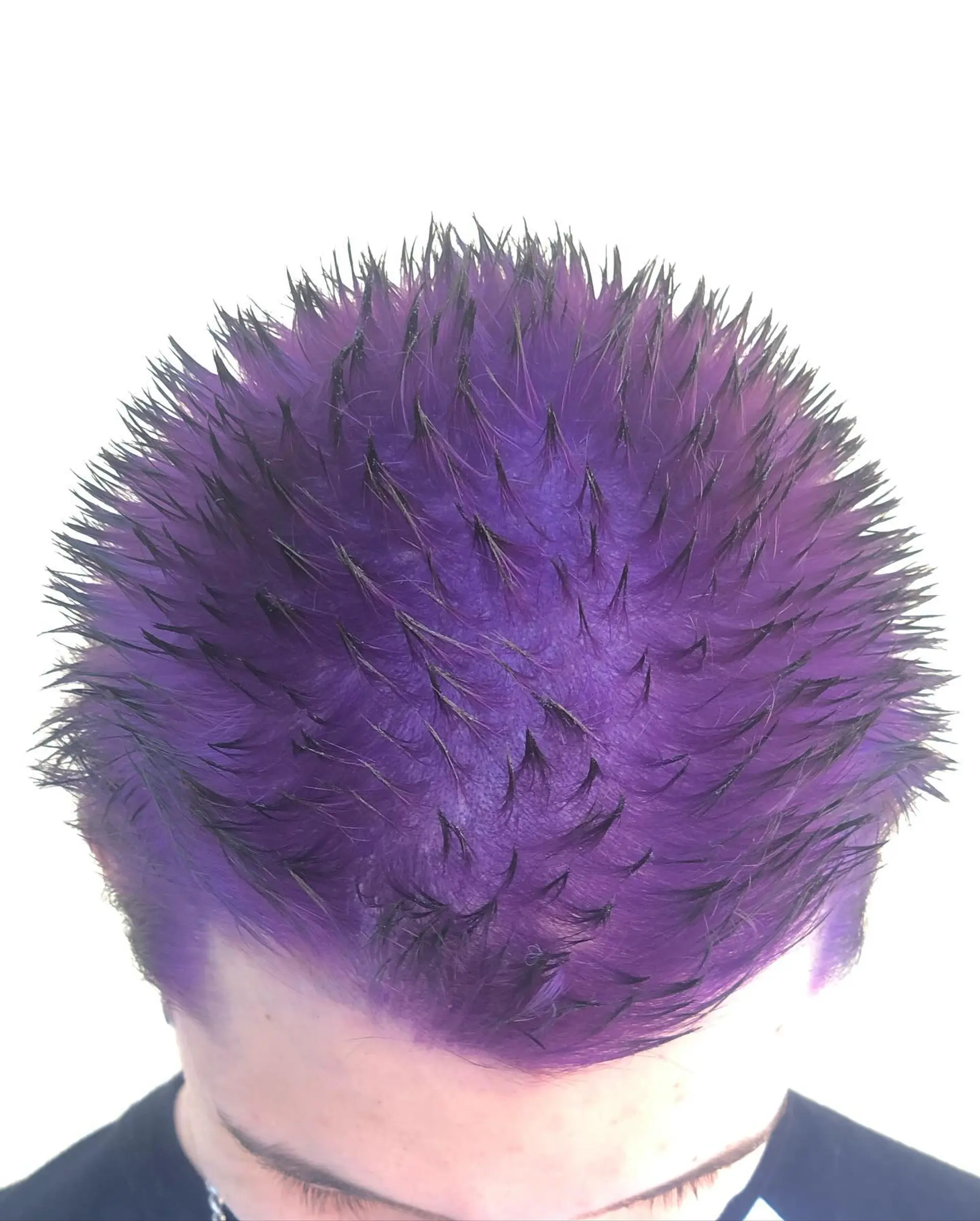 Short spiky hair dyed in a vibrant velvet purple with contrasting black tips. 1