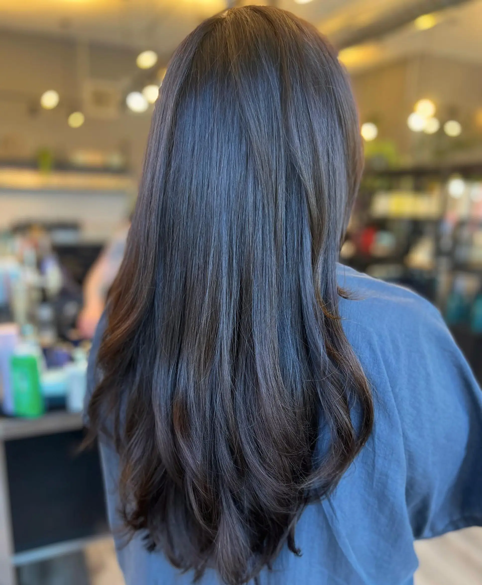 Long, layered hair with a classic brunette color. 1