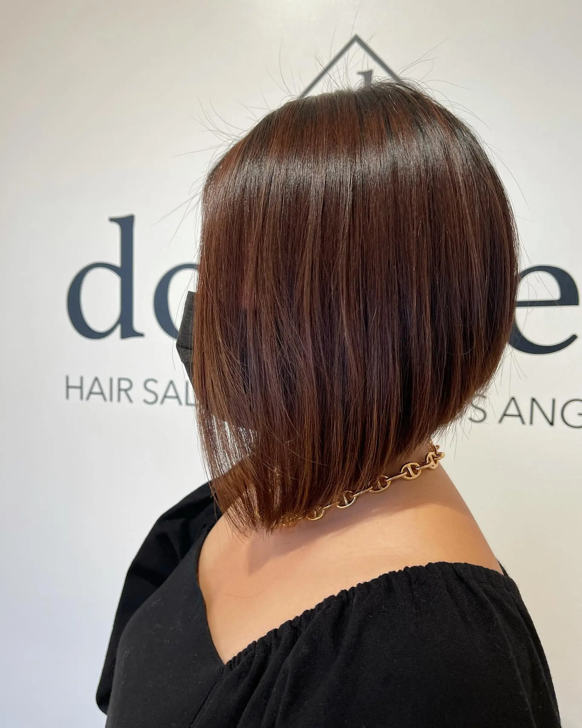 A sleek, angled A-line bob haircut styled straight with clean lines and a glossy finish in warm chestnut brown. 1