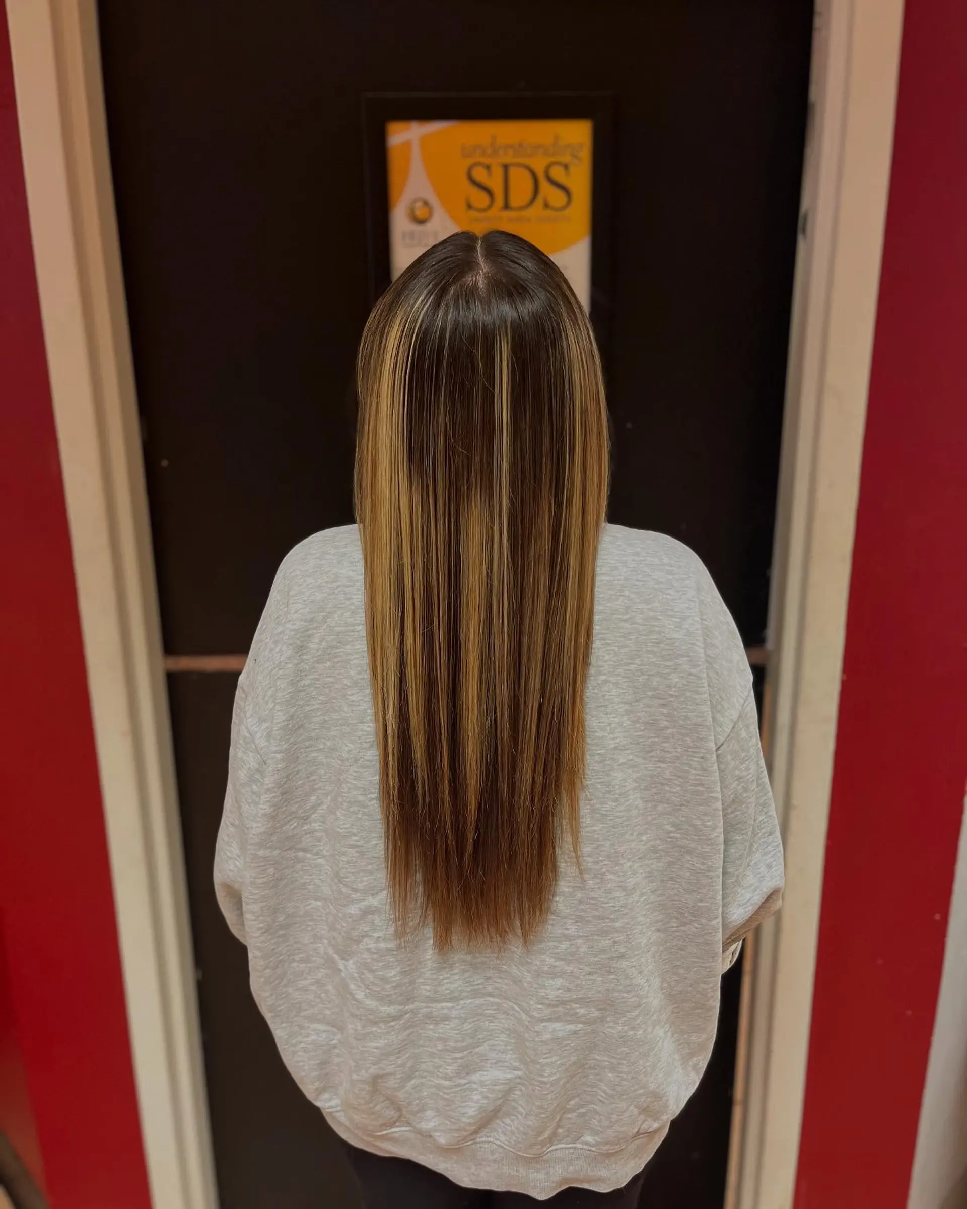 Long, sleek straight hair styled with a flat iron, featuring bright blonde highlights against a dark brown base. 1
