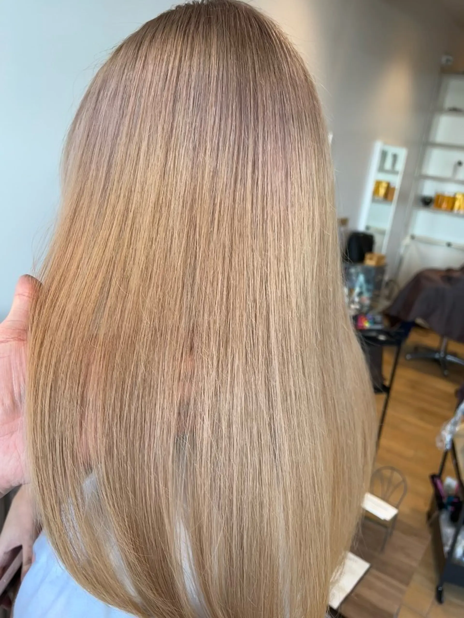 Long, silky straight hair colored in a warm beige blonde tone, shown from behind. 1