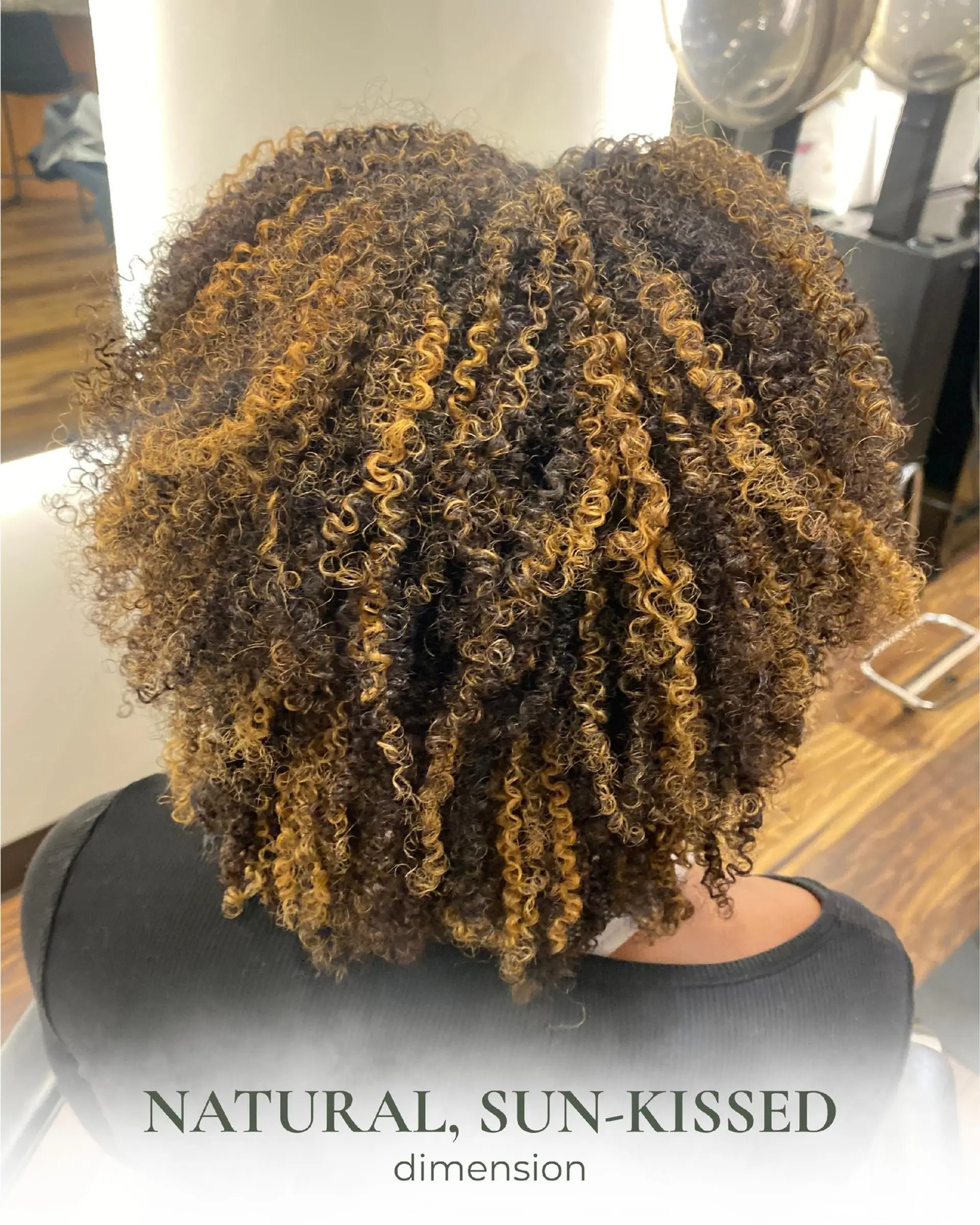 Defined natural curls featuring warm caramel and golden blonde hand-painted Pintura highlights for dimensional depth. 1