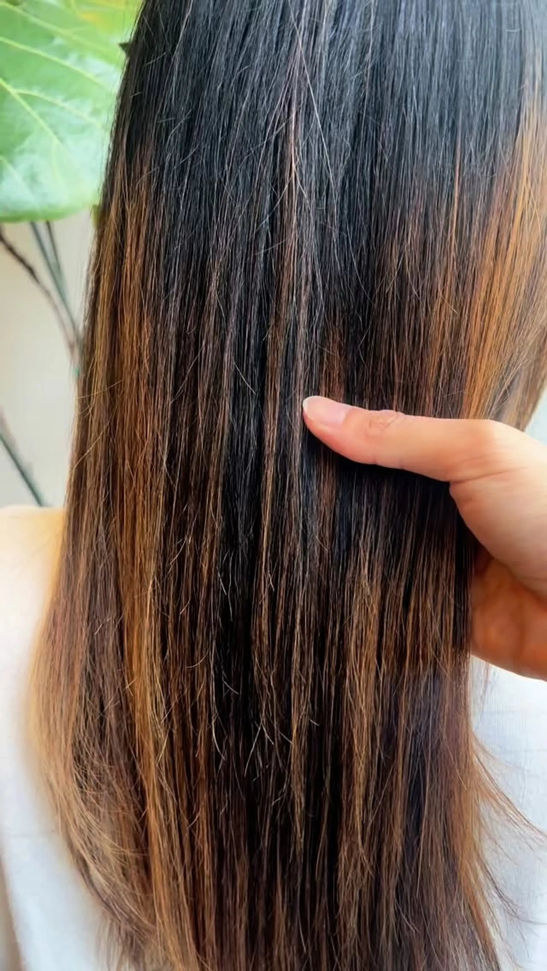 Straight, long brunette hair styled with soft layers and warm caramel highlights. 1