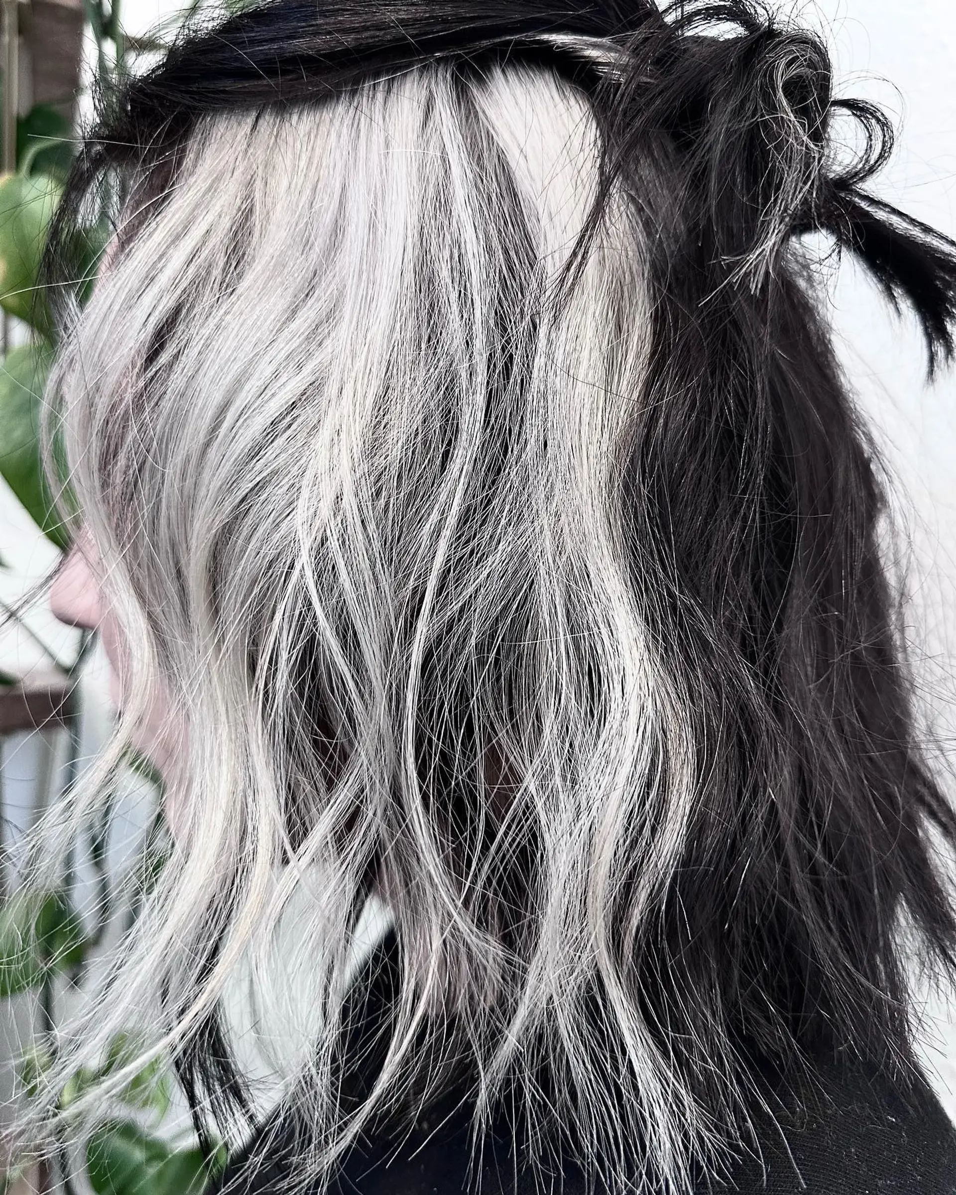 A bold peekaboo hair color featuring bright platinum blonde underneath dark black hair. 1
