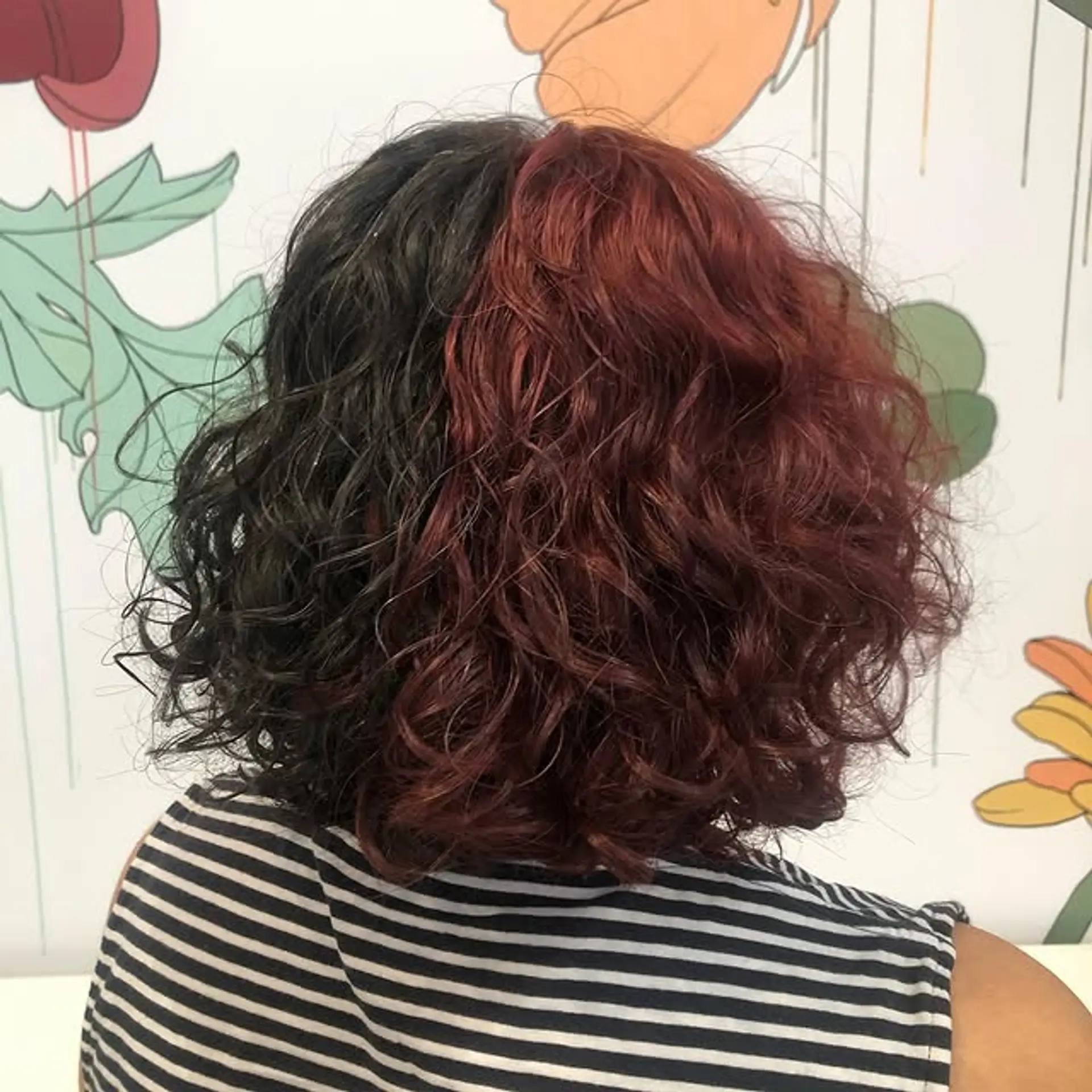 A curly bob with a distinct split dye, dividing the hair into two contrasting colors. 1