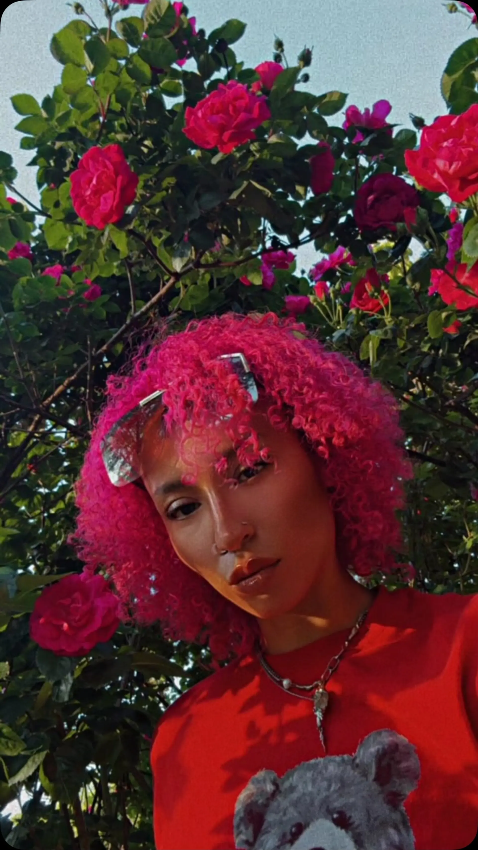 A bold, short curly cut featuring tight, defined coils saturated in an electric hot pink hue. 1