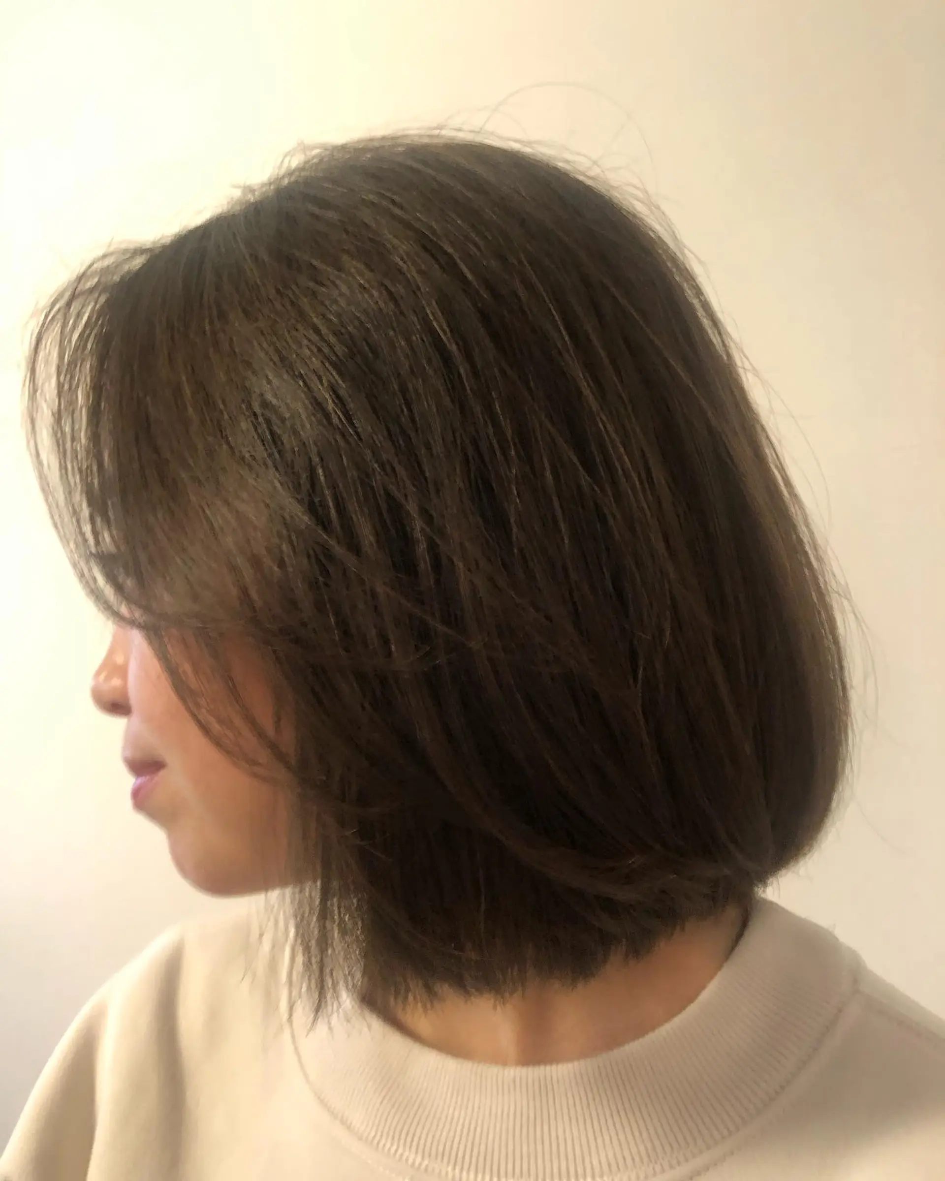 A soft, textured short bob haircut featuring gentle layers and face-framing pieces in a cool brunette tone. 1