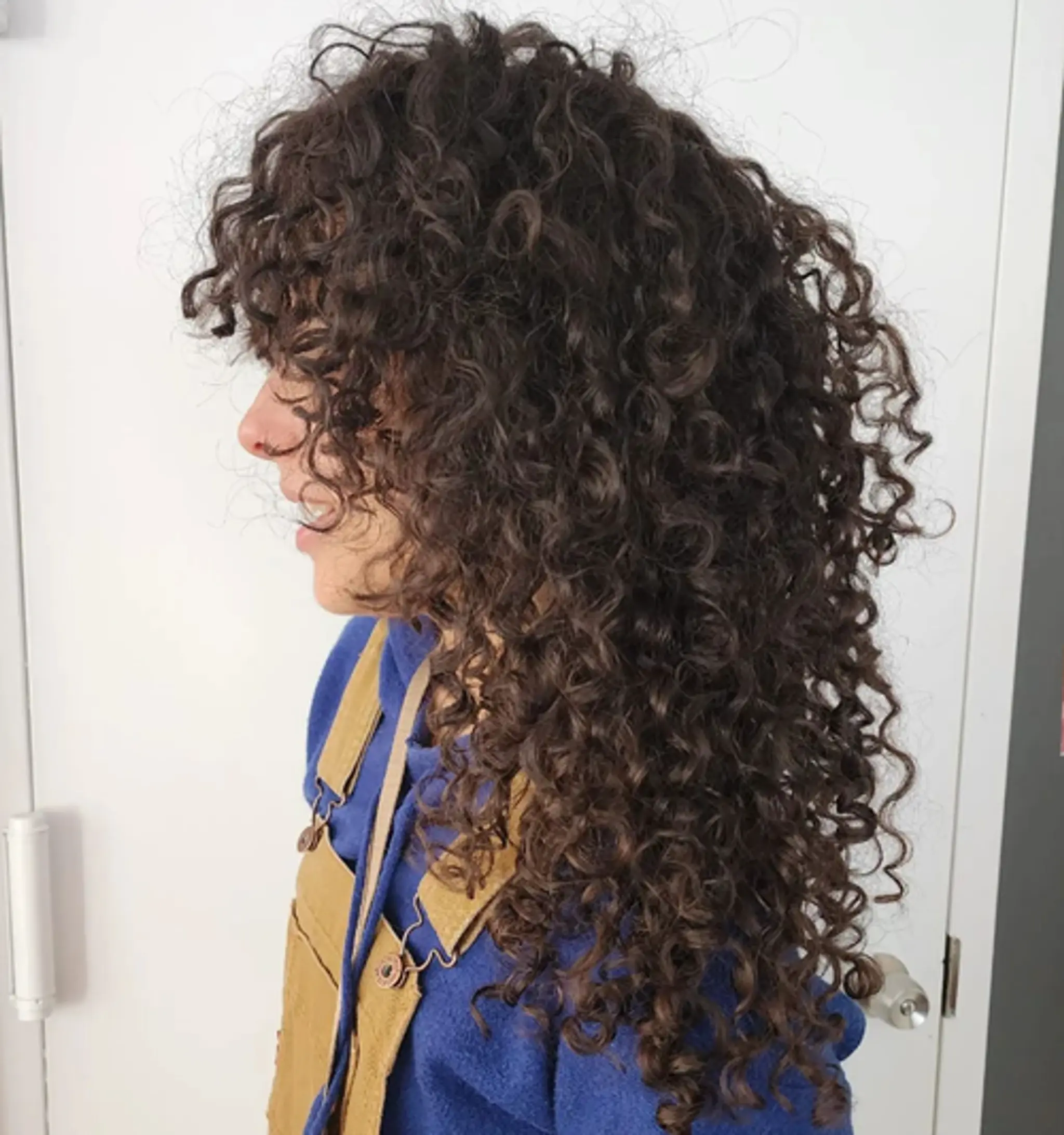 Long, cascading hairstyle with voluminous, tightly coiled curls, brown in color, flowing naturally past the shoulders with slight layering for movement and dimension.