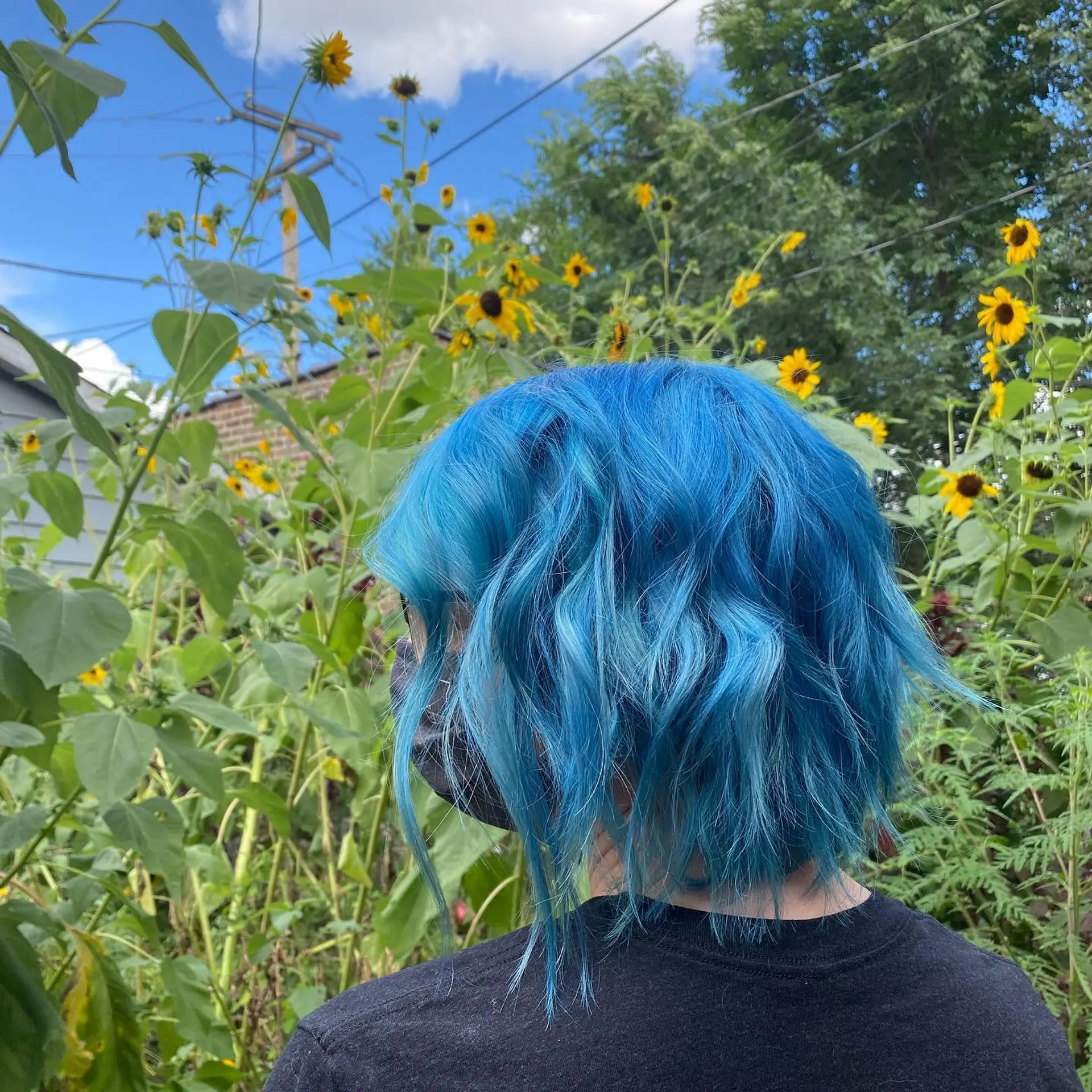 A medium-length shag haircut with wavy layers. 1