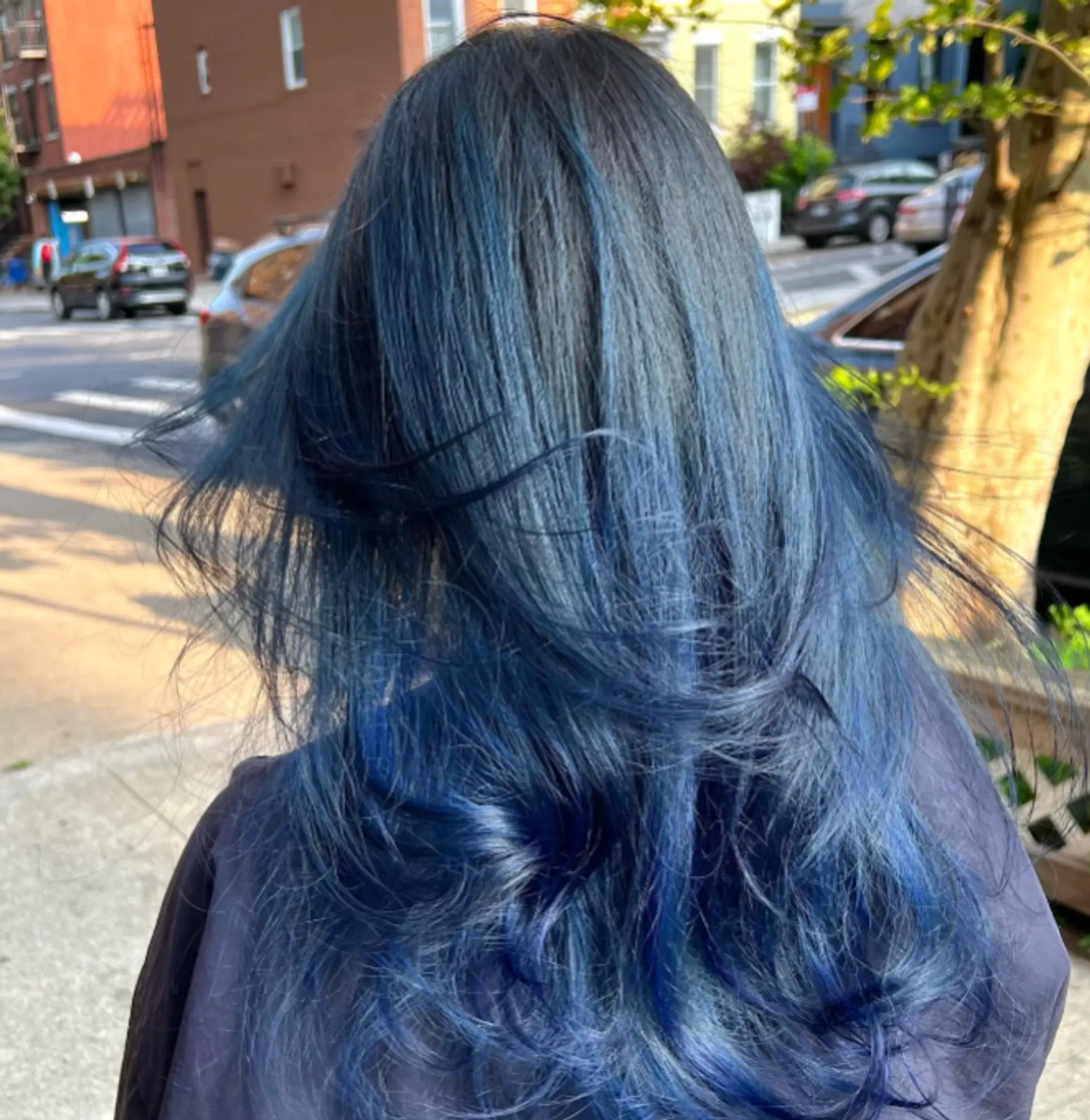 Long layered hair with a dark blue balayage. 1
