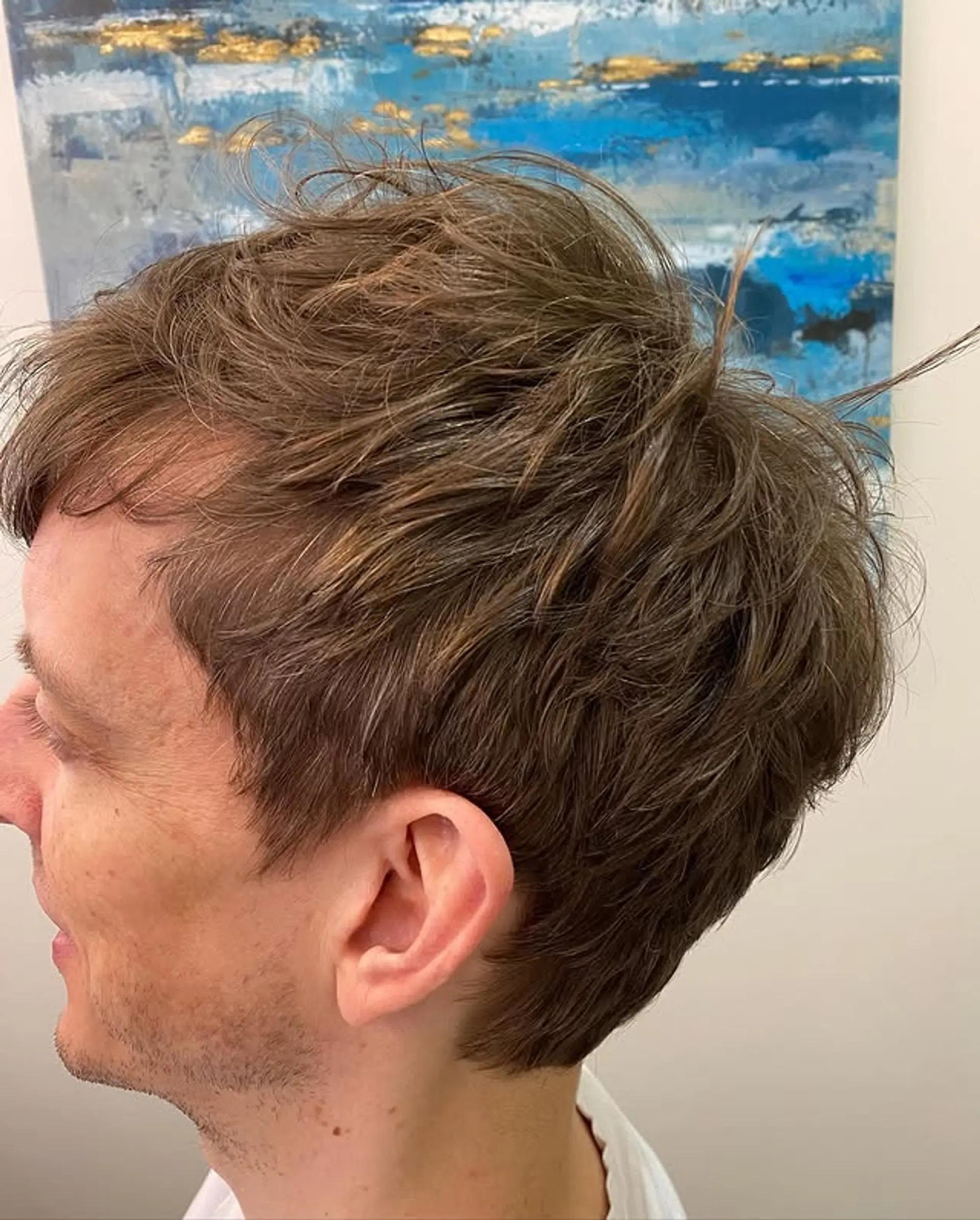 A short, layered textured crop with a messy, modern look. 1