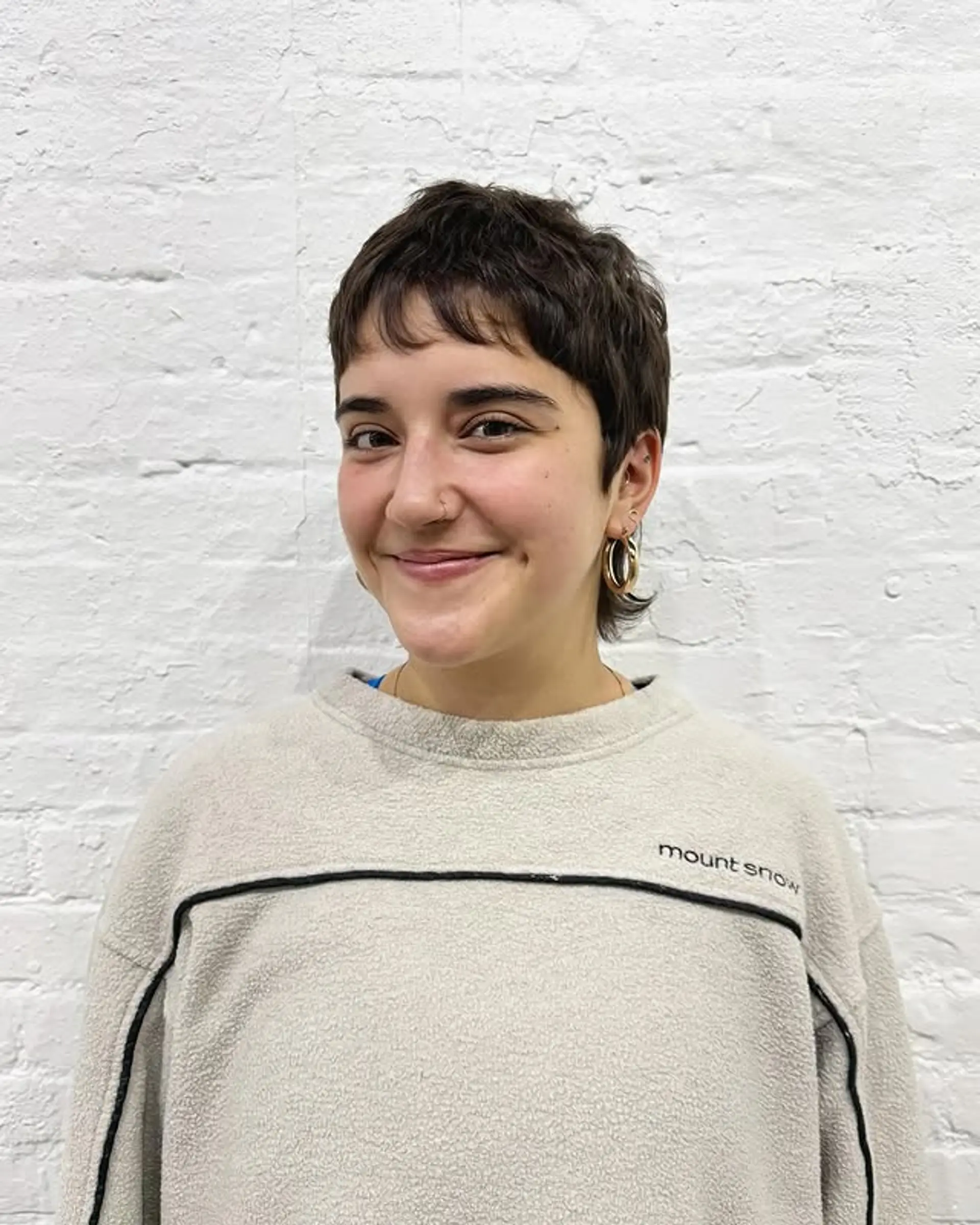 A textured pixie mullet with choppy layers and a modern edge. 1