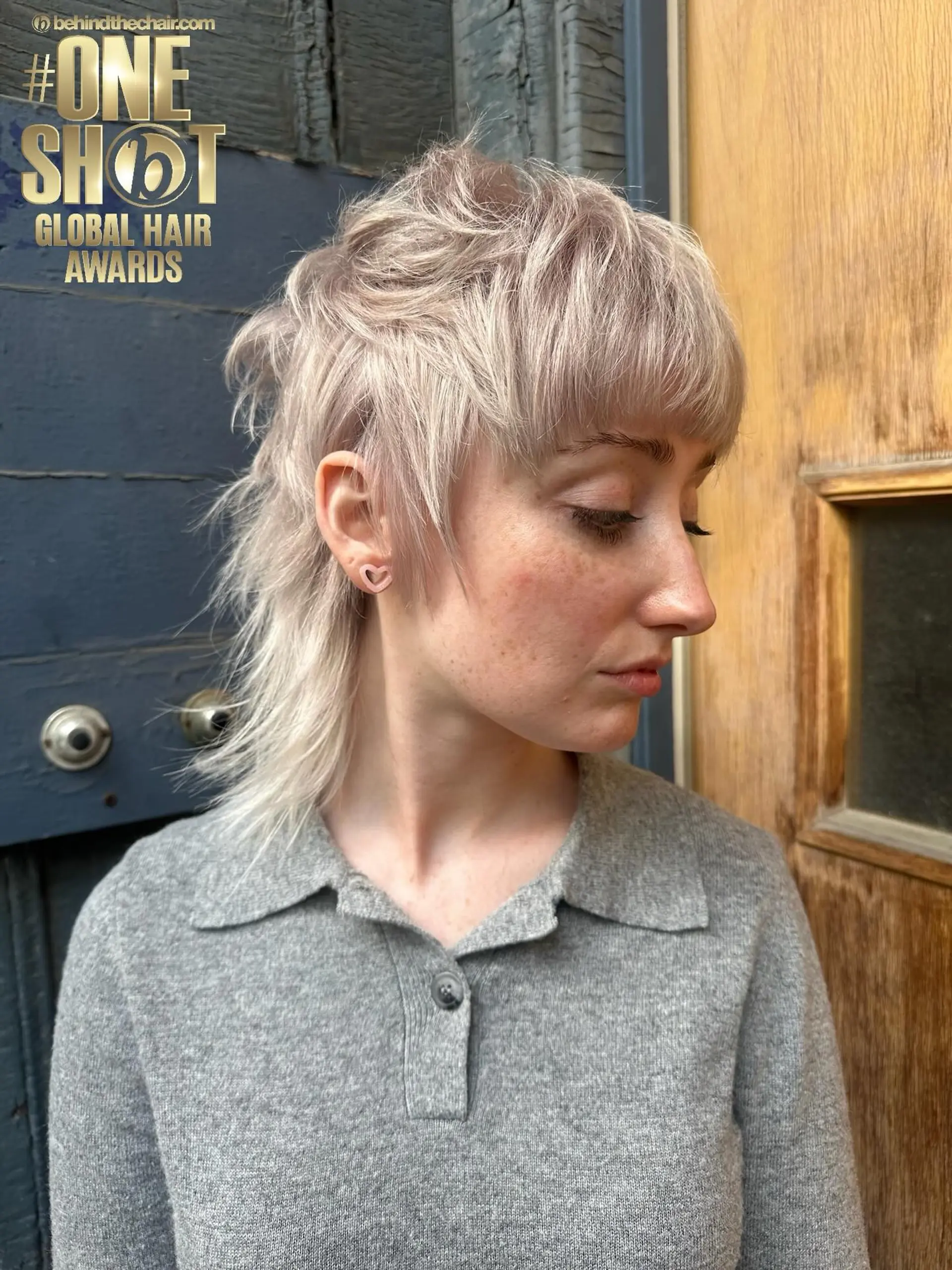 A cool-toned platinum shag mullet with choppy, textured layers, wispy bangs, and feathered length down the nape. 1