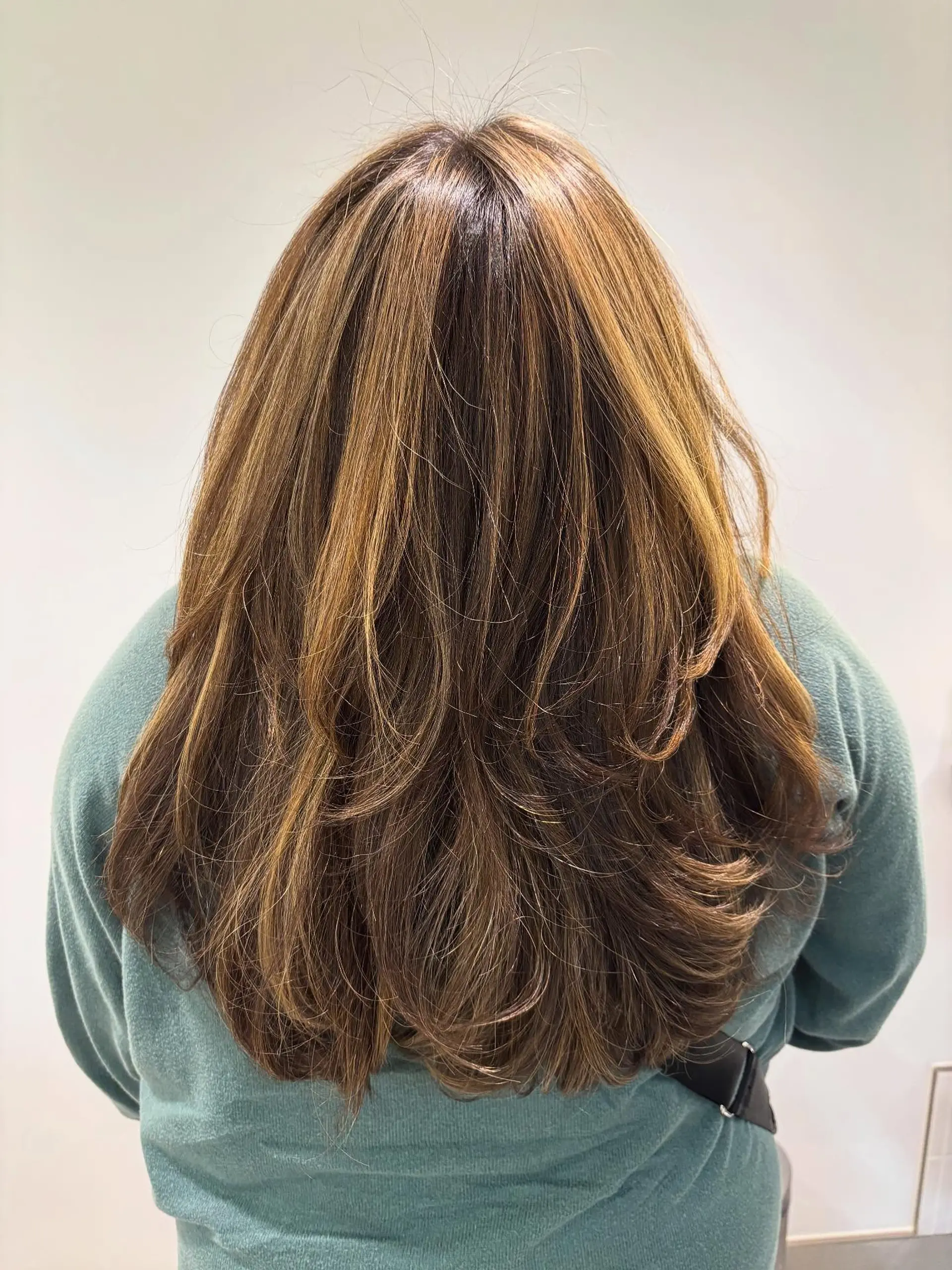 Long cascading layers styled with a voluminous blowout featuring warm honey blonde balayage over a medium brown base. 1