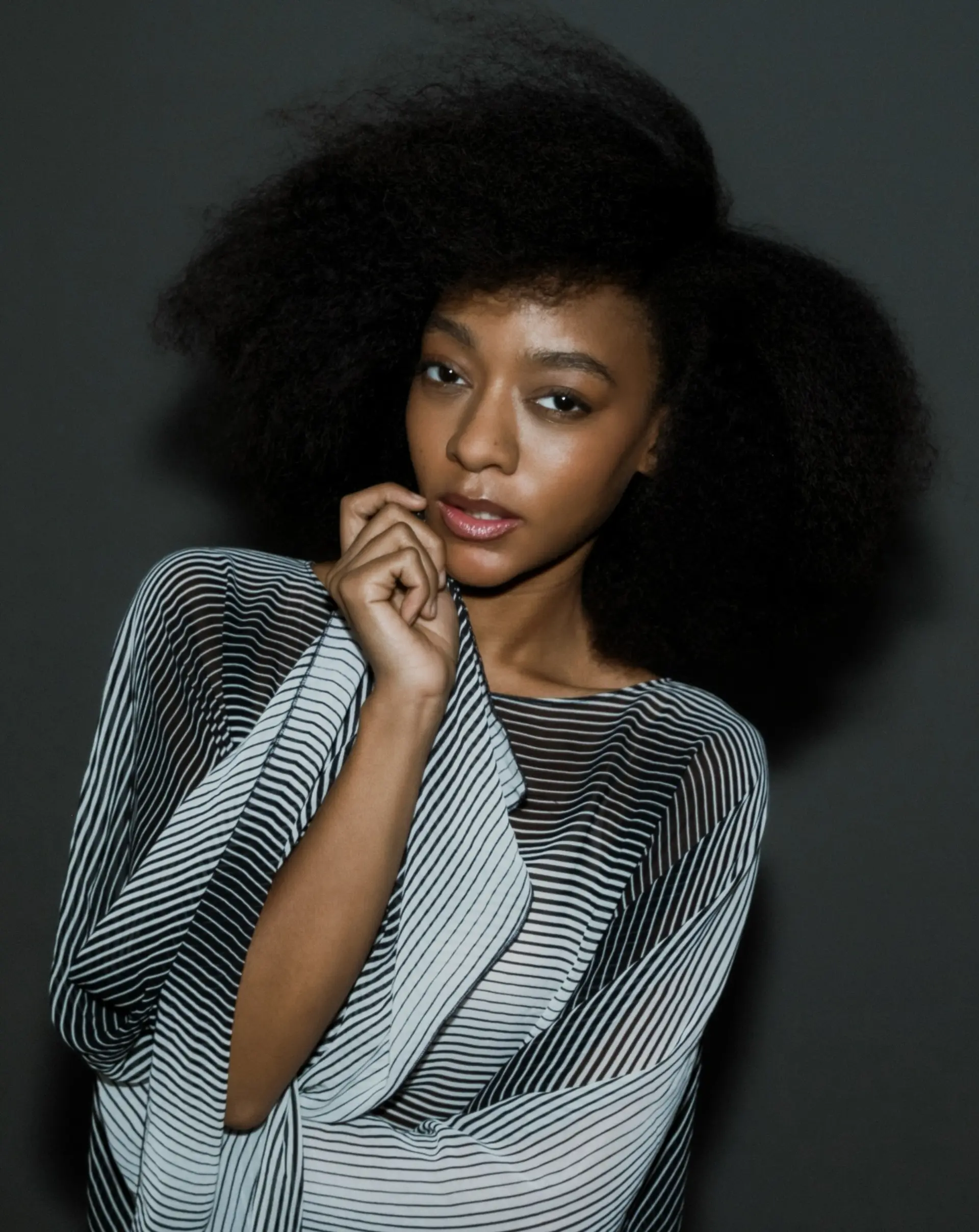 A full, voluminous natural afro shaped with soft symmetry and rich coily texture. 1