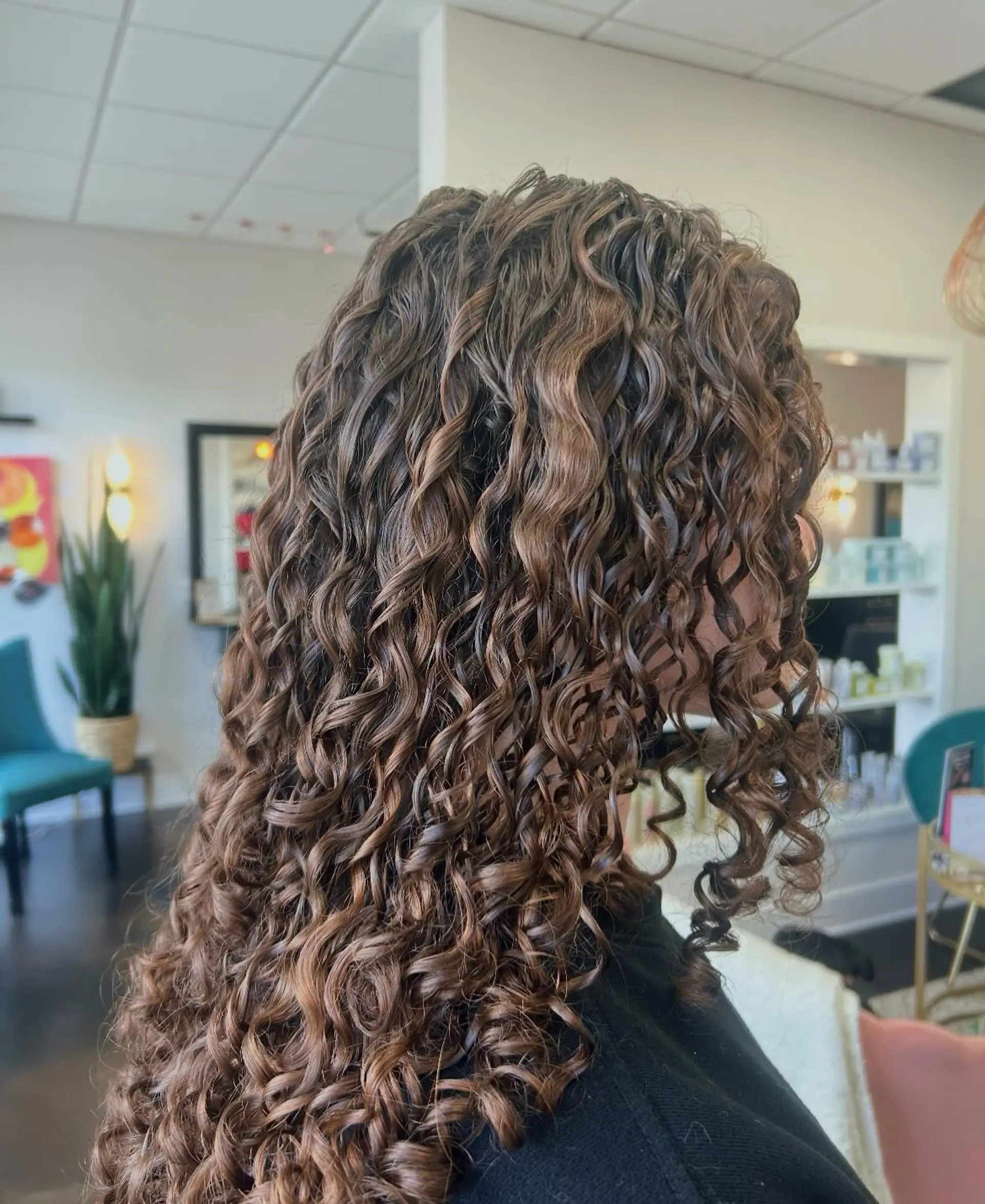 Long, defined curly hair accented with soft caramel and chocolate brown balayage highlights for natural dimension. 1