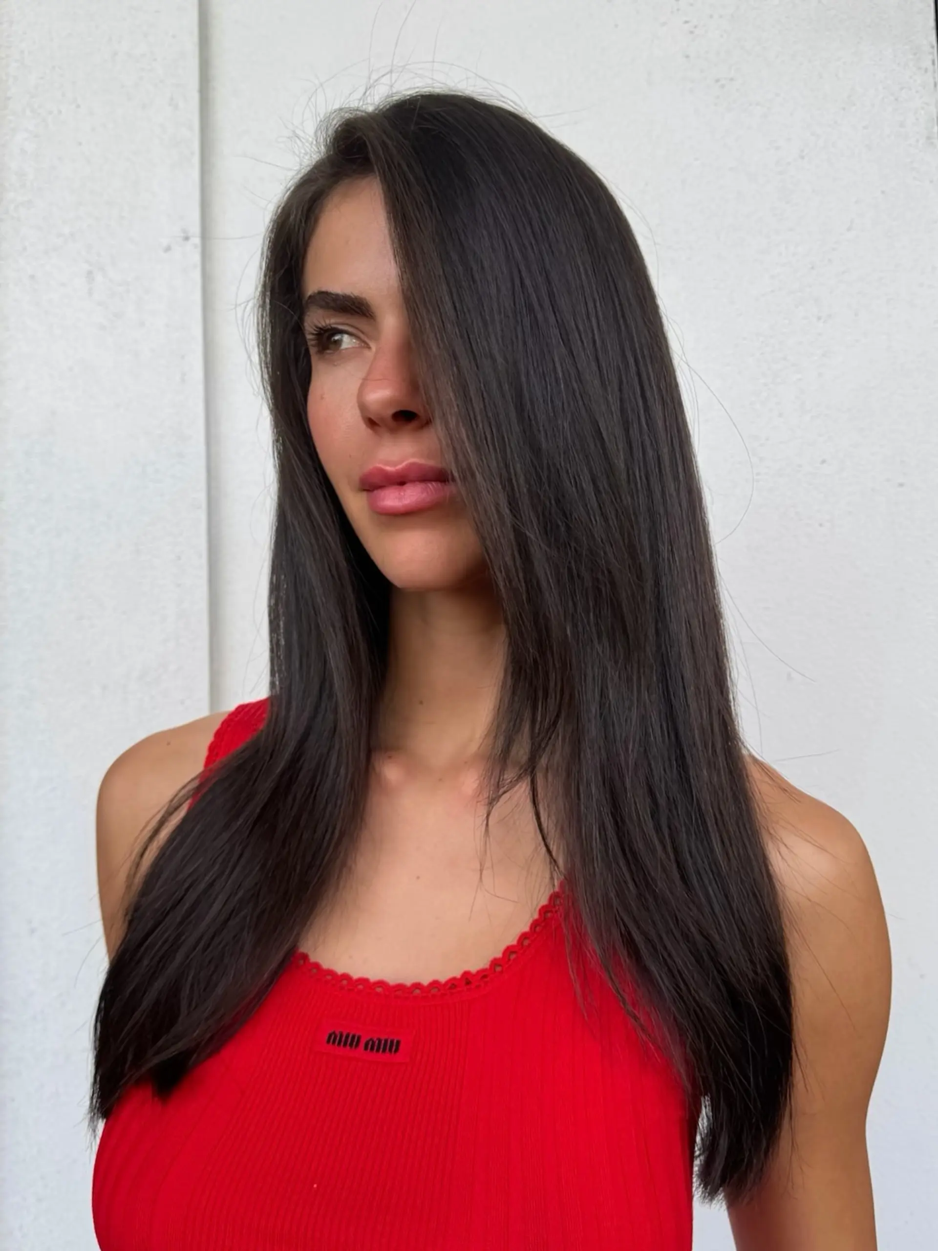 Long, sleek straight dark brunette hair with a high-shine, frizz-free finish. 1