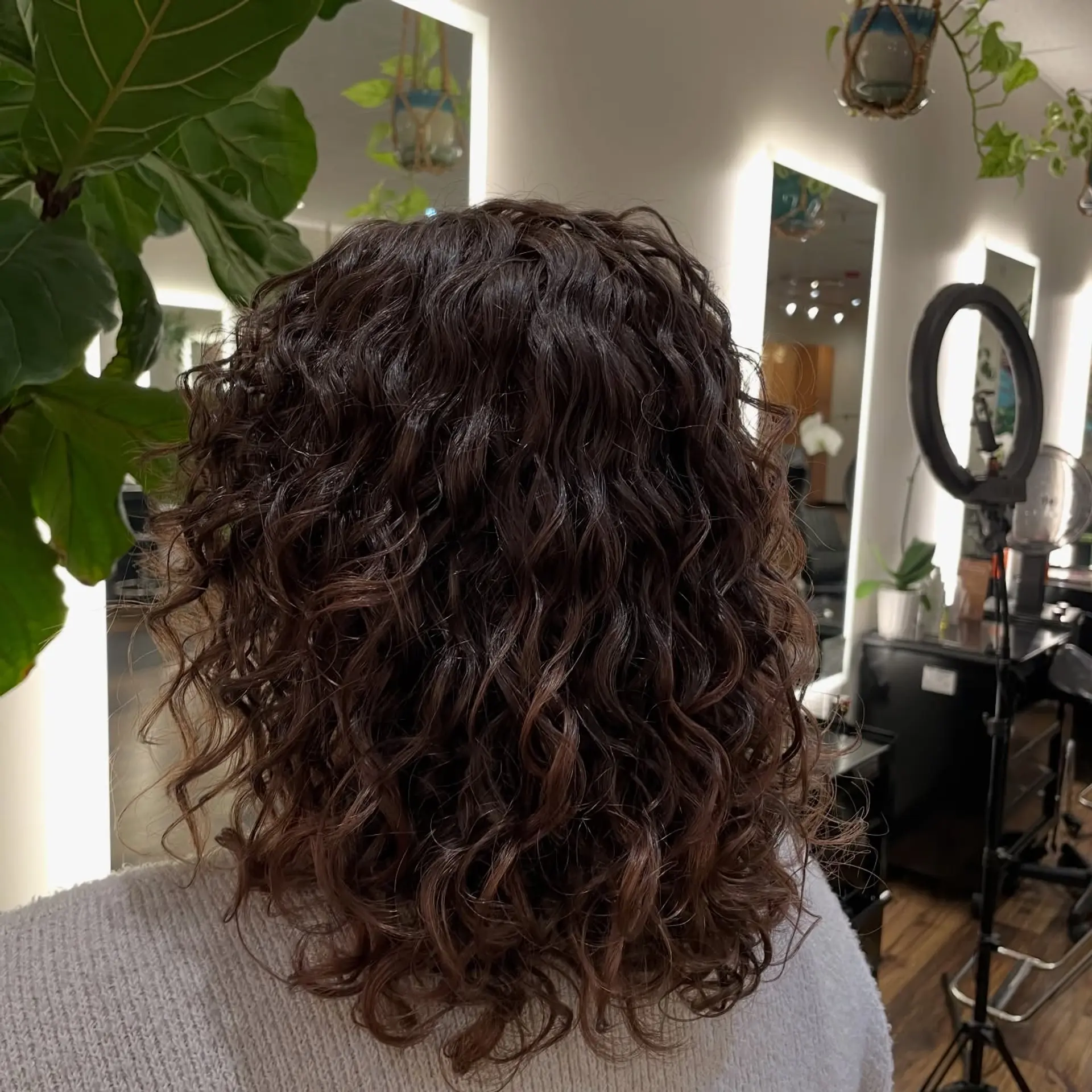 Medium-length layered curly hairstyle featuring defined, bouncy curls in rich dark brown tones. 1