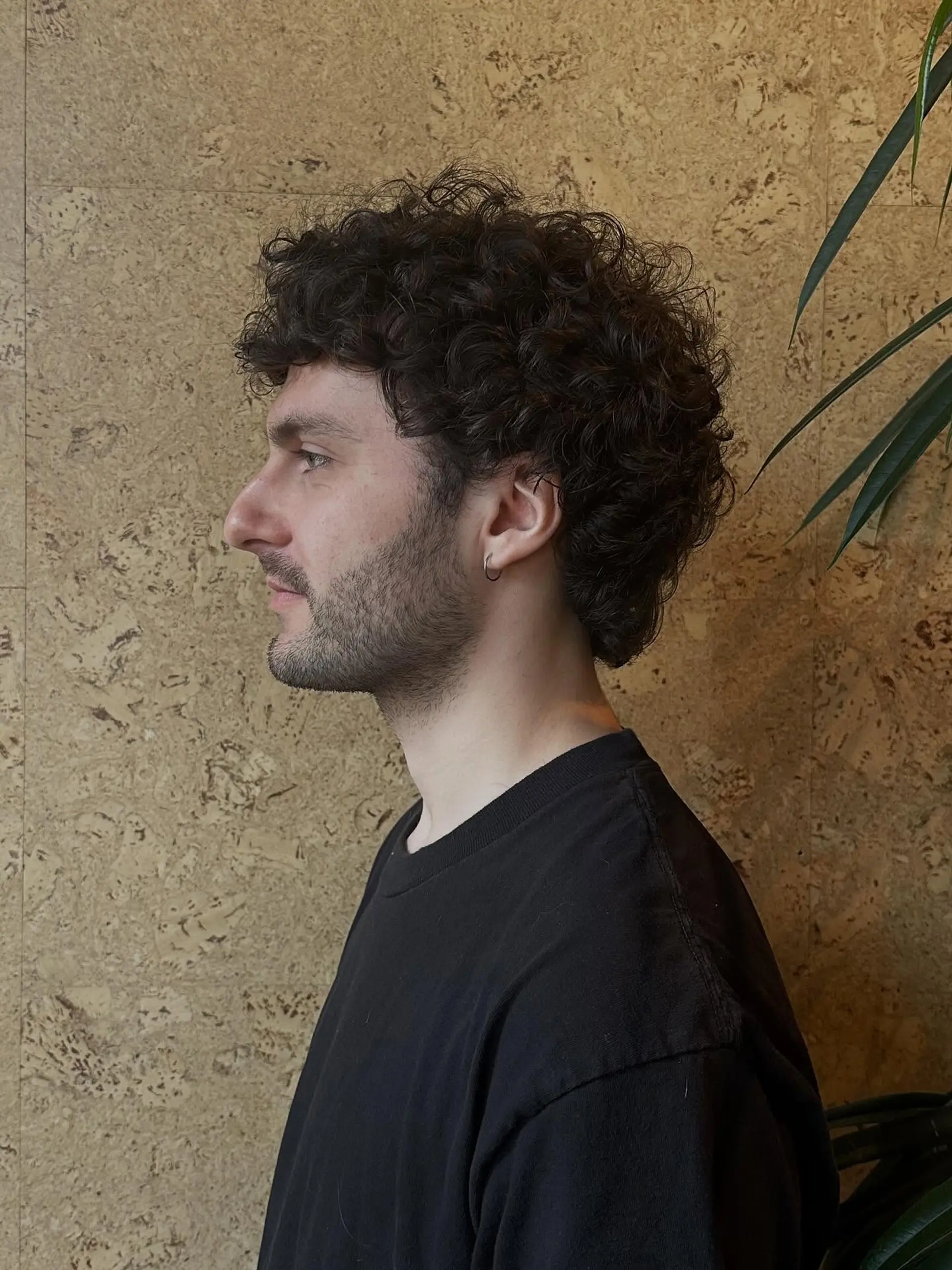 A short curly mod cut featuring defined, voluminous curls and tapered sides. 1