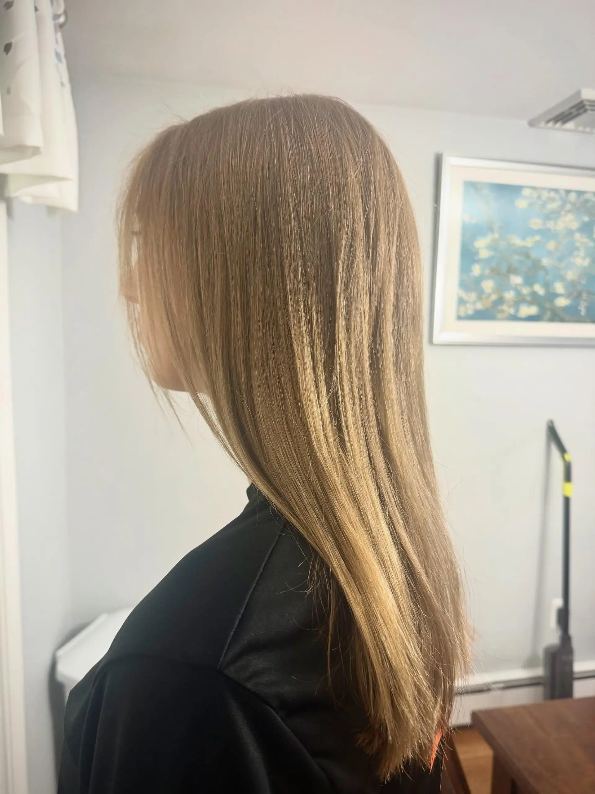 Long, fine-to-medium hair styled into a smooth, sleek straight blowout. 1