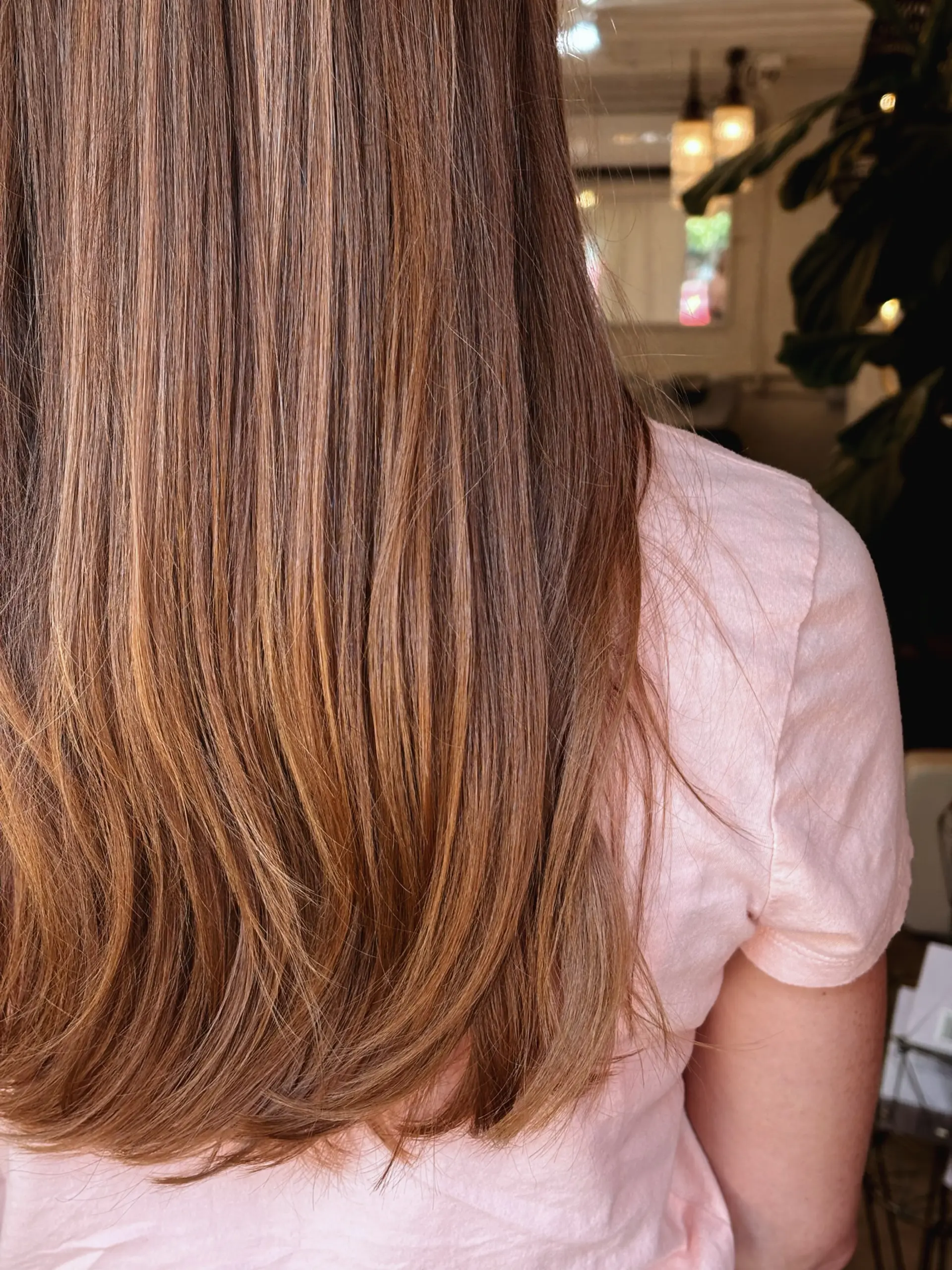 Long straight hair cut with delicate layers and blended caramel highlights. 1